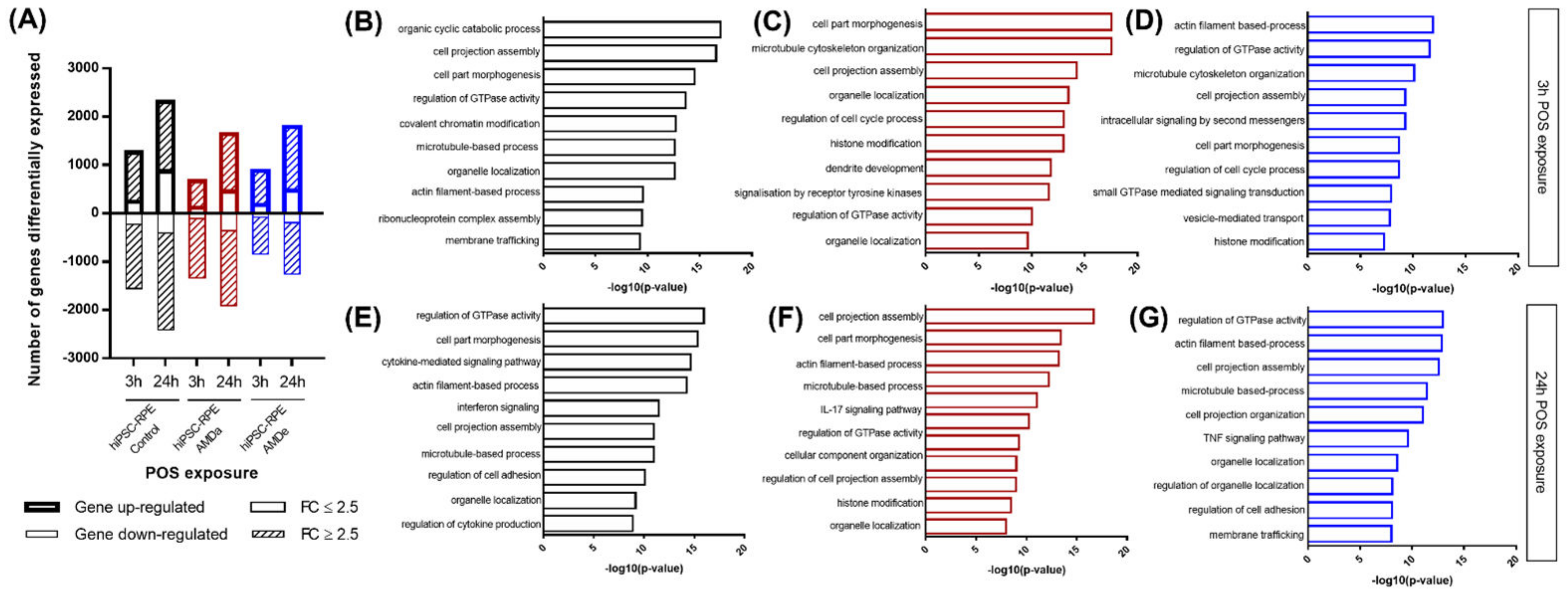 Antioxidants 11 00713 g004
