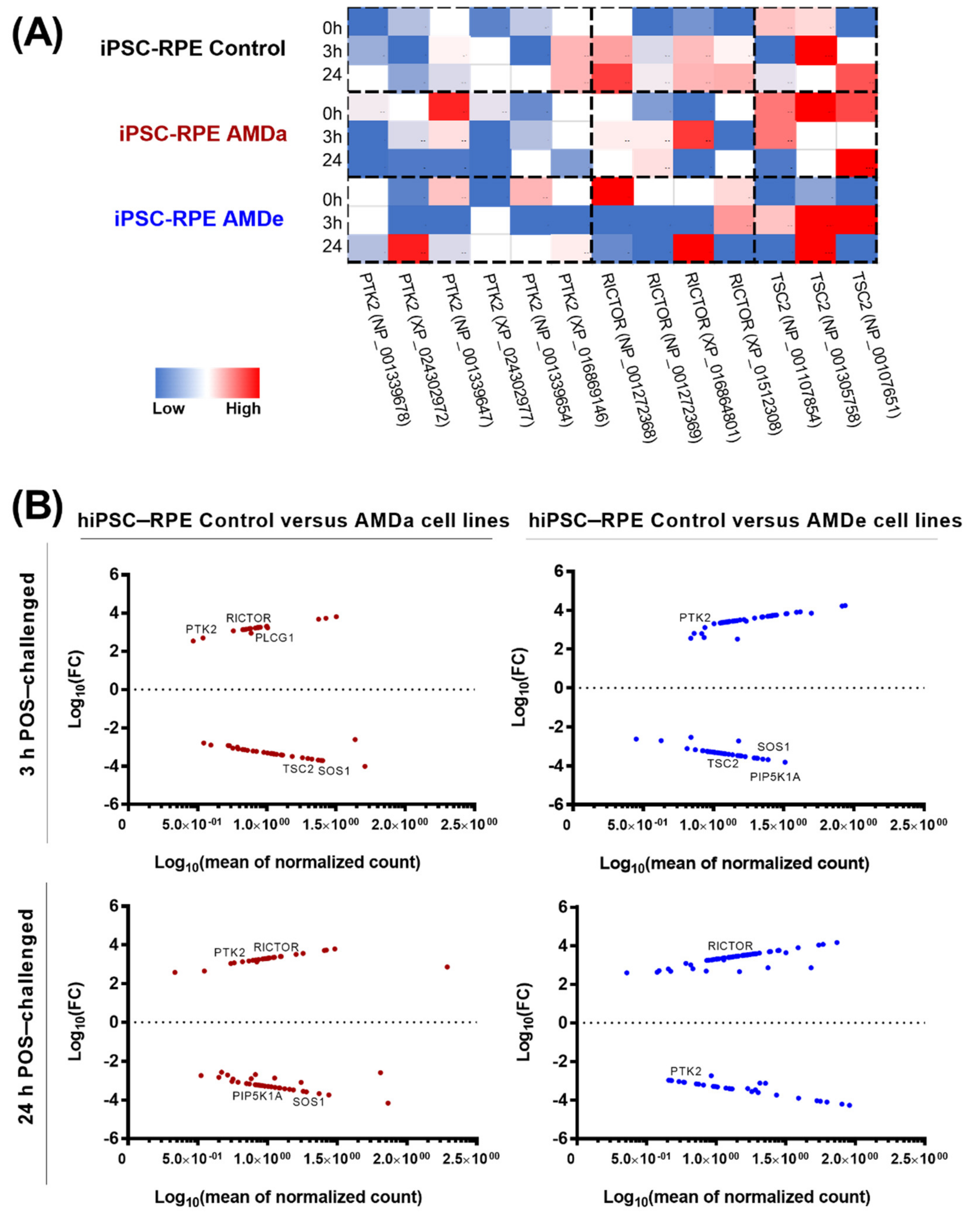 Antioxidants 11 00713 g005