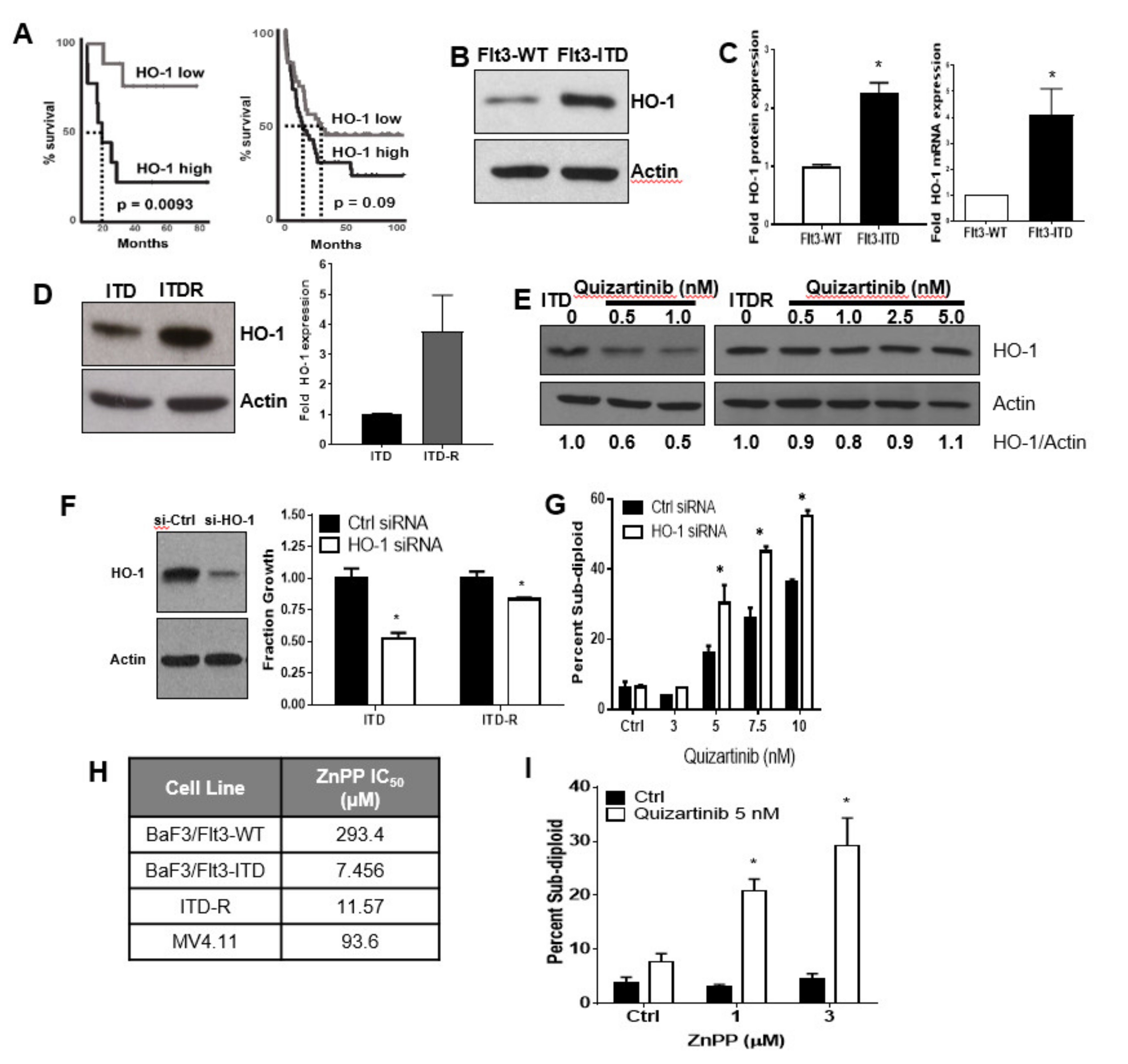 Antioxidants 11 00717 g001 Antioxidants 11 00717 g001