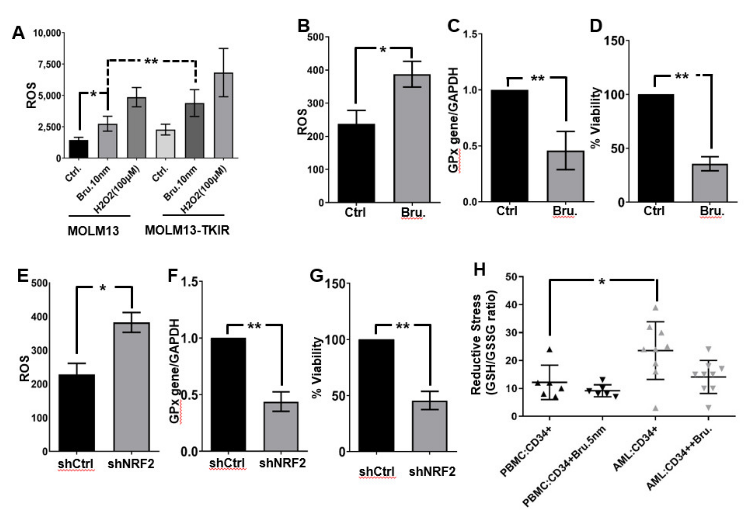 Antioxidants 11 00717 g004 Antioxidants 11 00717 g004
