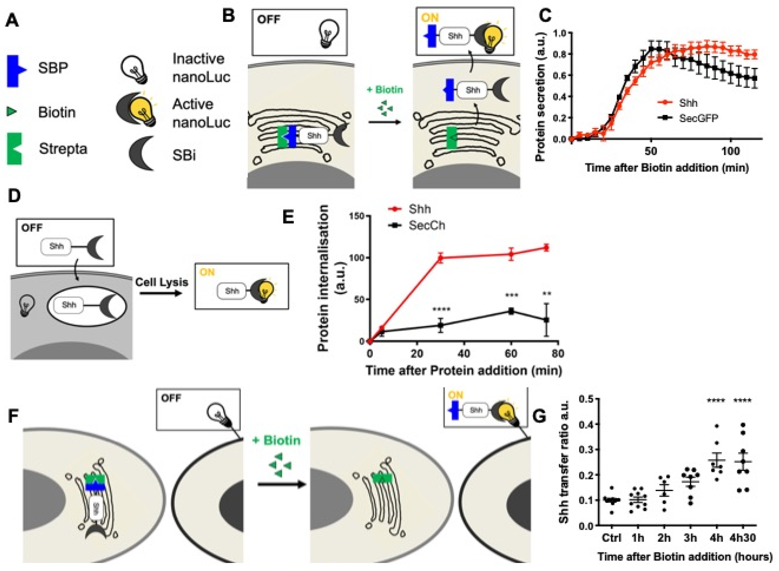 Antioxidants 11 00718 g002
