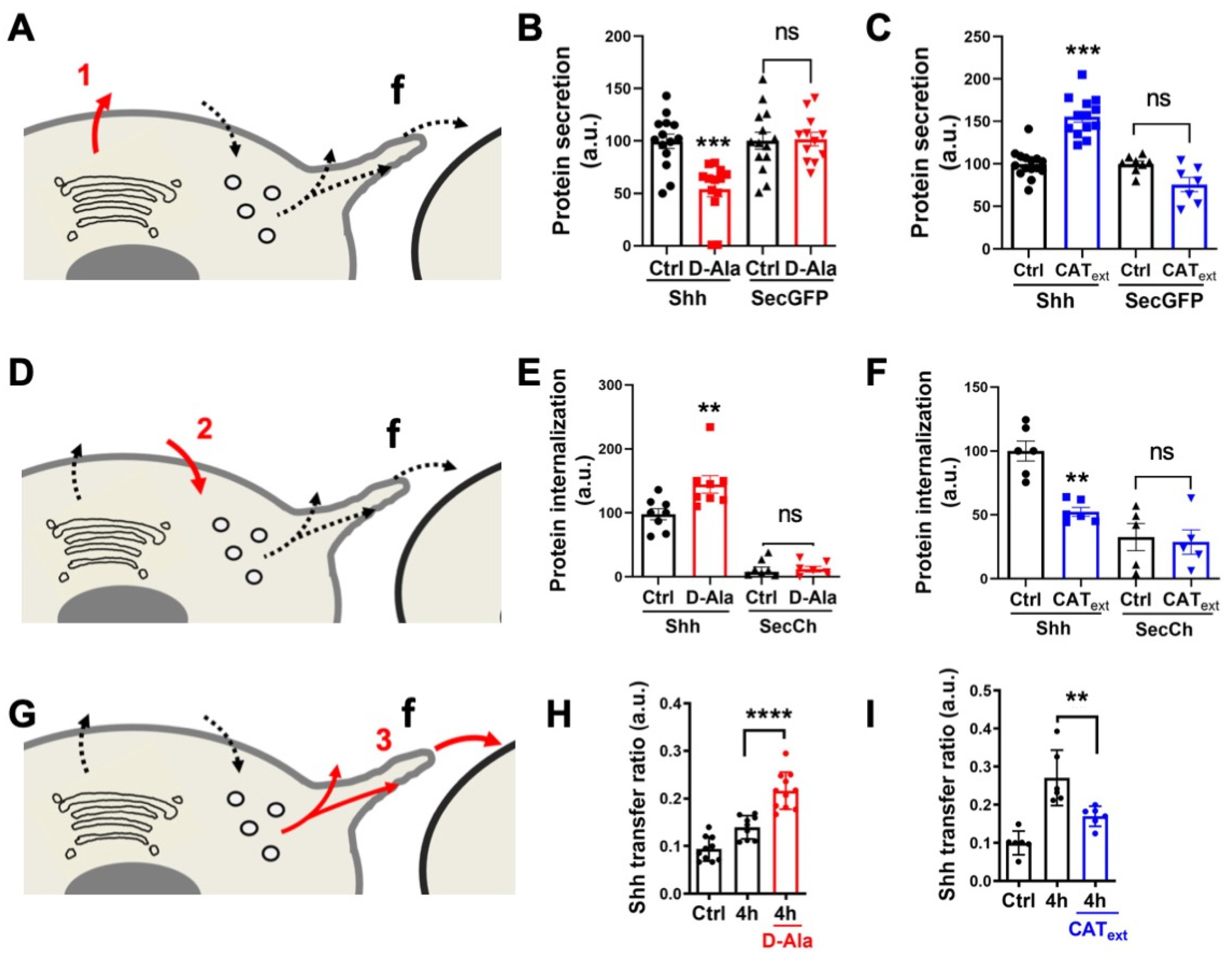 Antioxidants 11 00718 g003