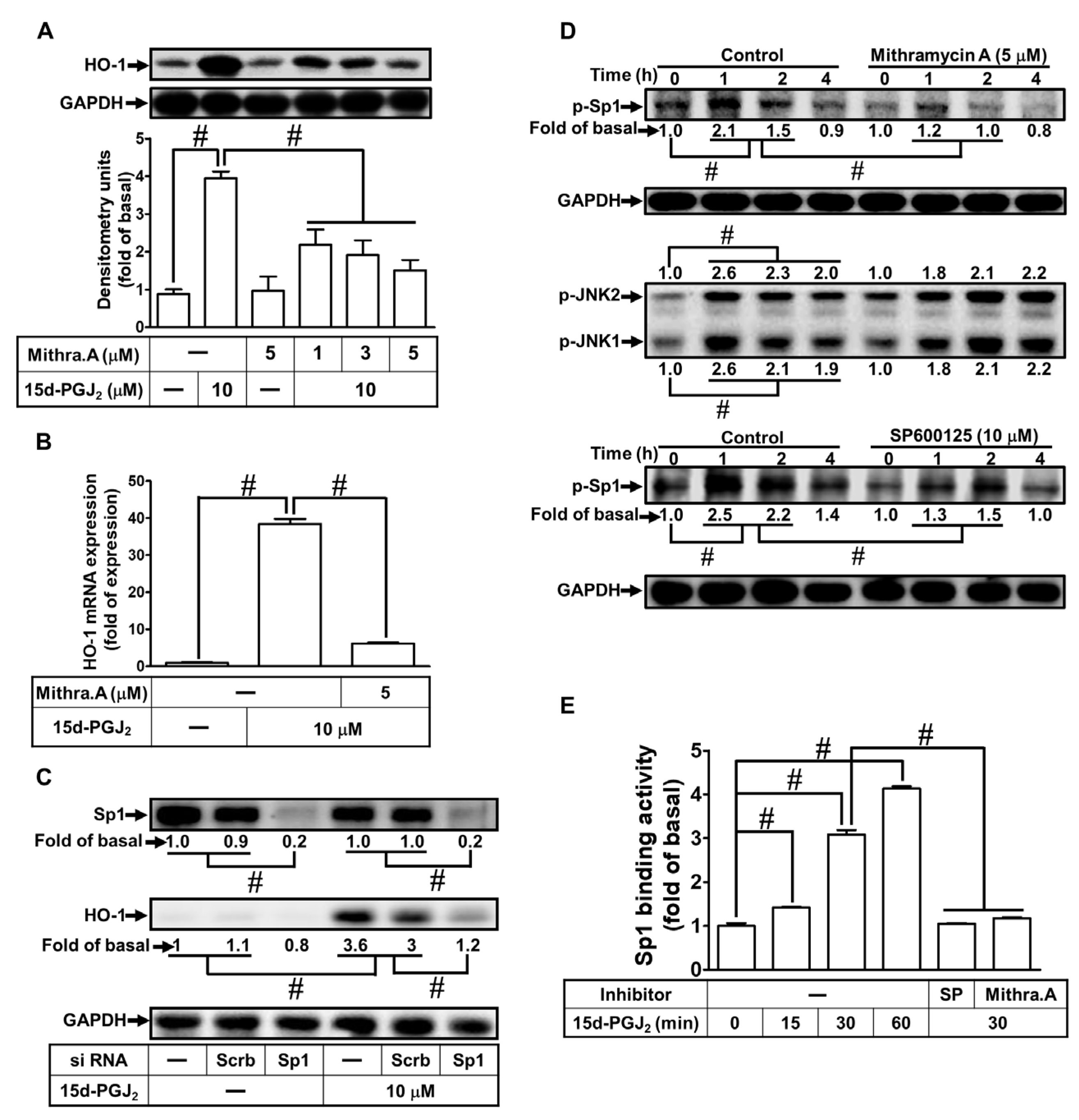 Antioxidants 11 00719 g005