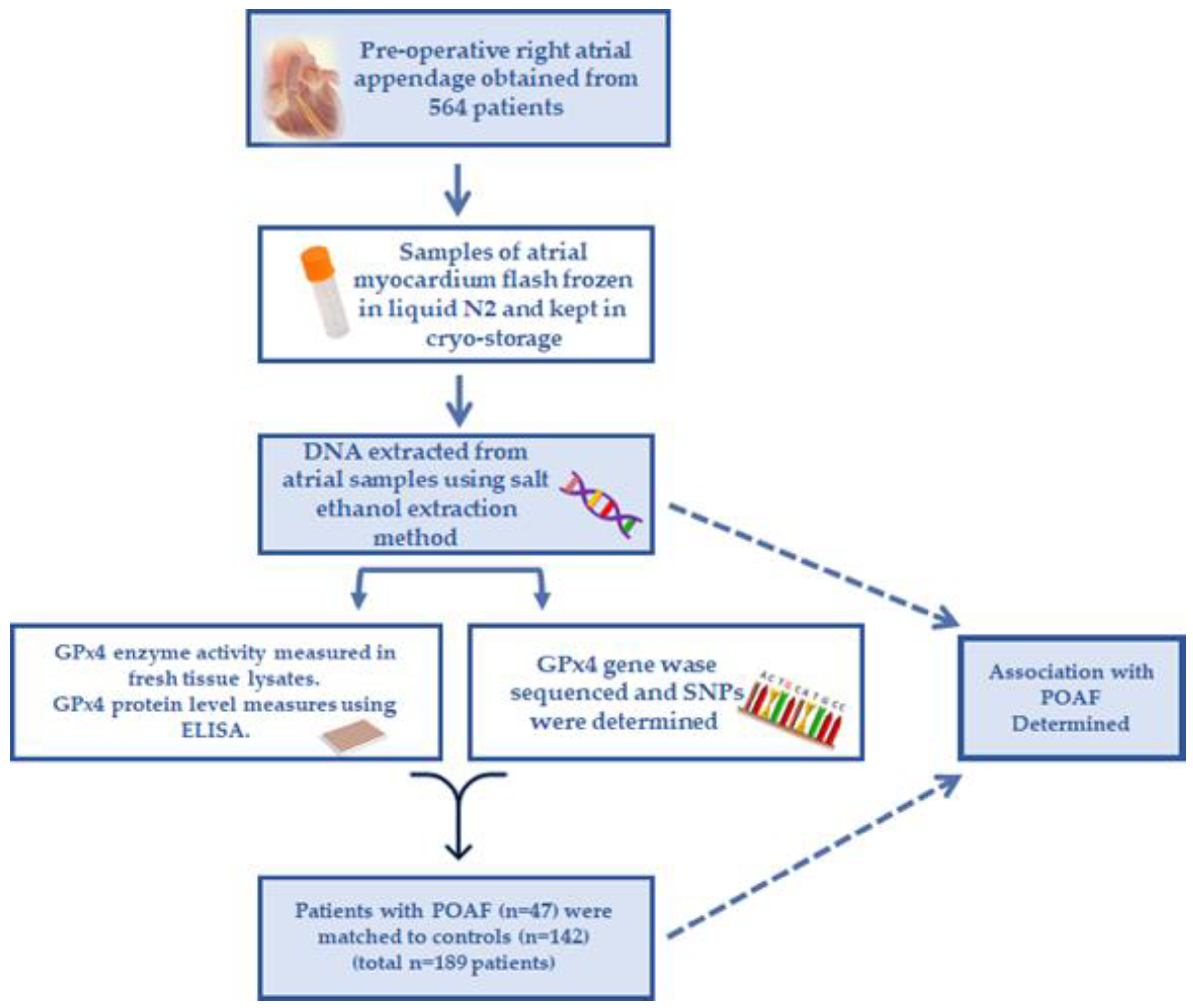 Antioxidants 11 00721 g001