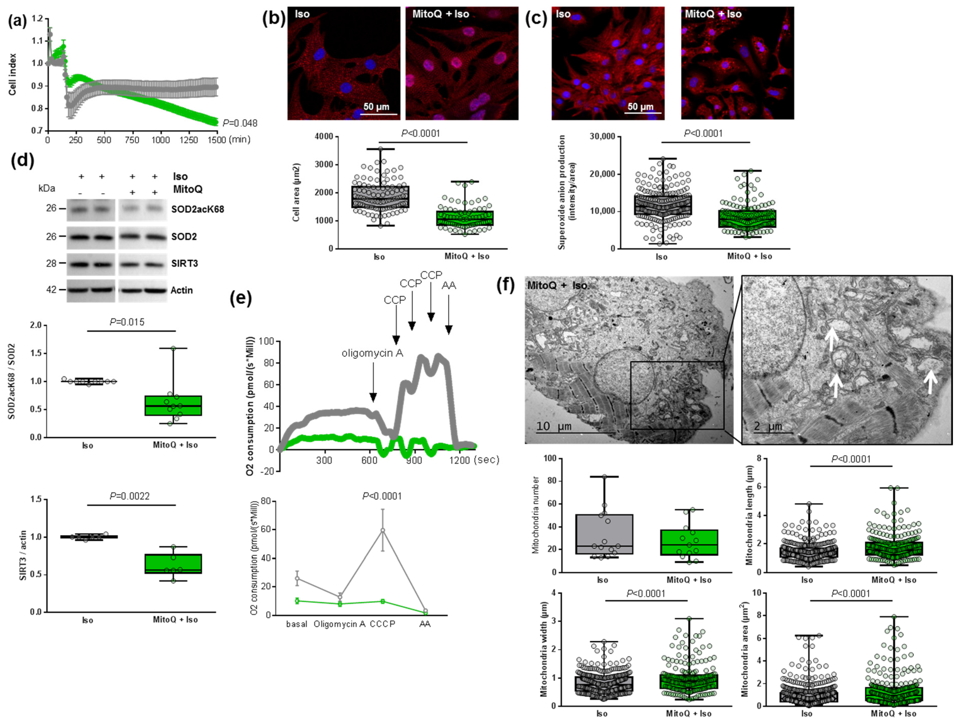 Antioxidants 11 00723 g005
