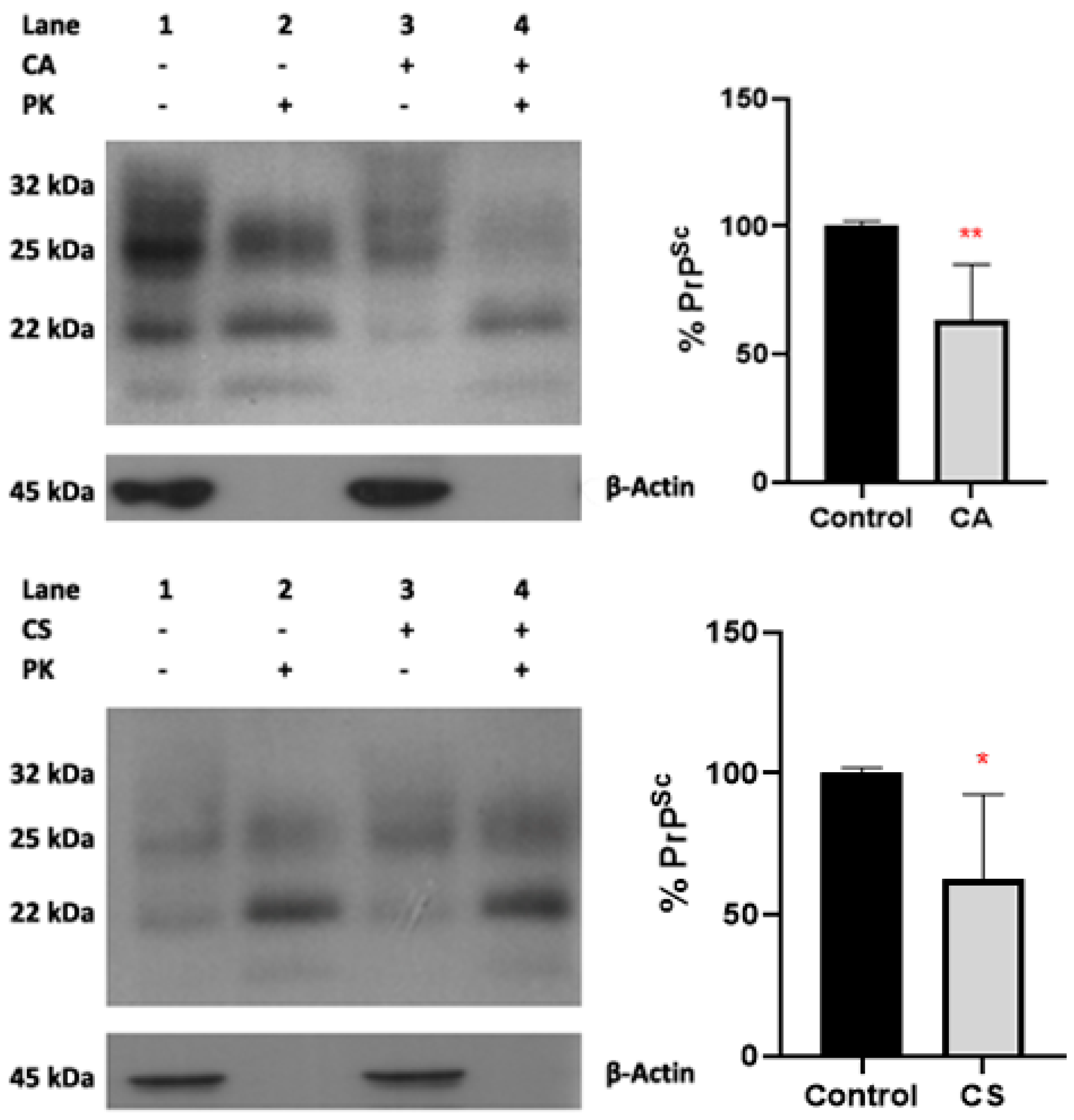 Antioxidants 11 00726 g004