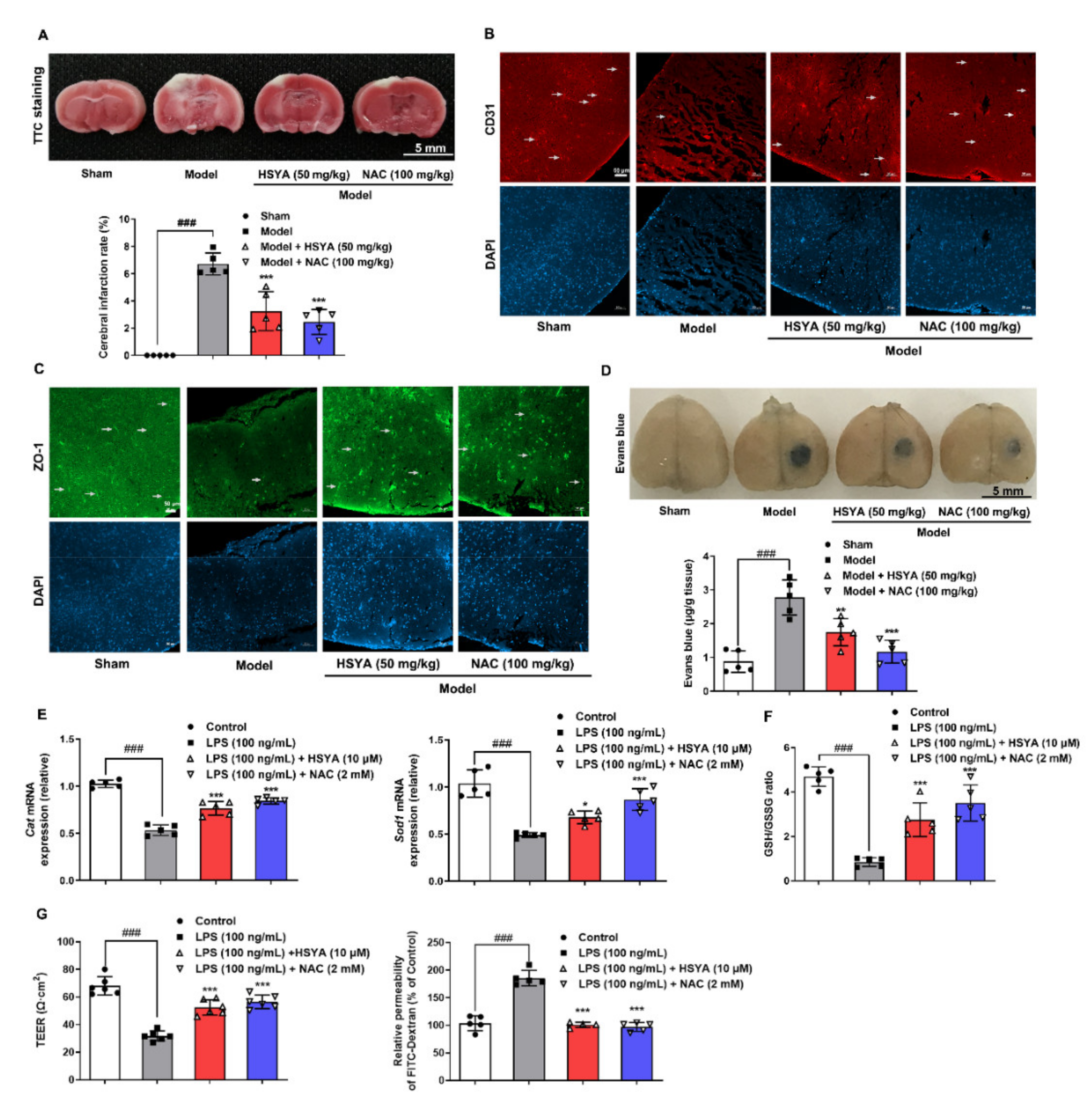 Antioxidants 11 00728 g001
