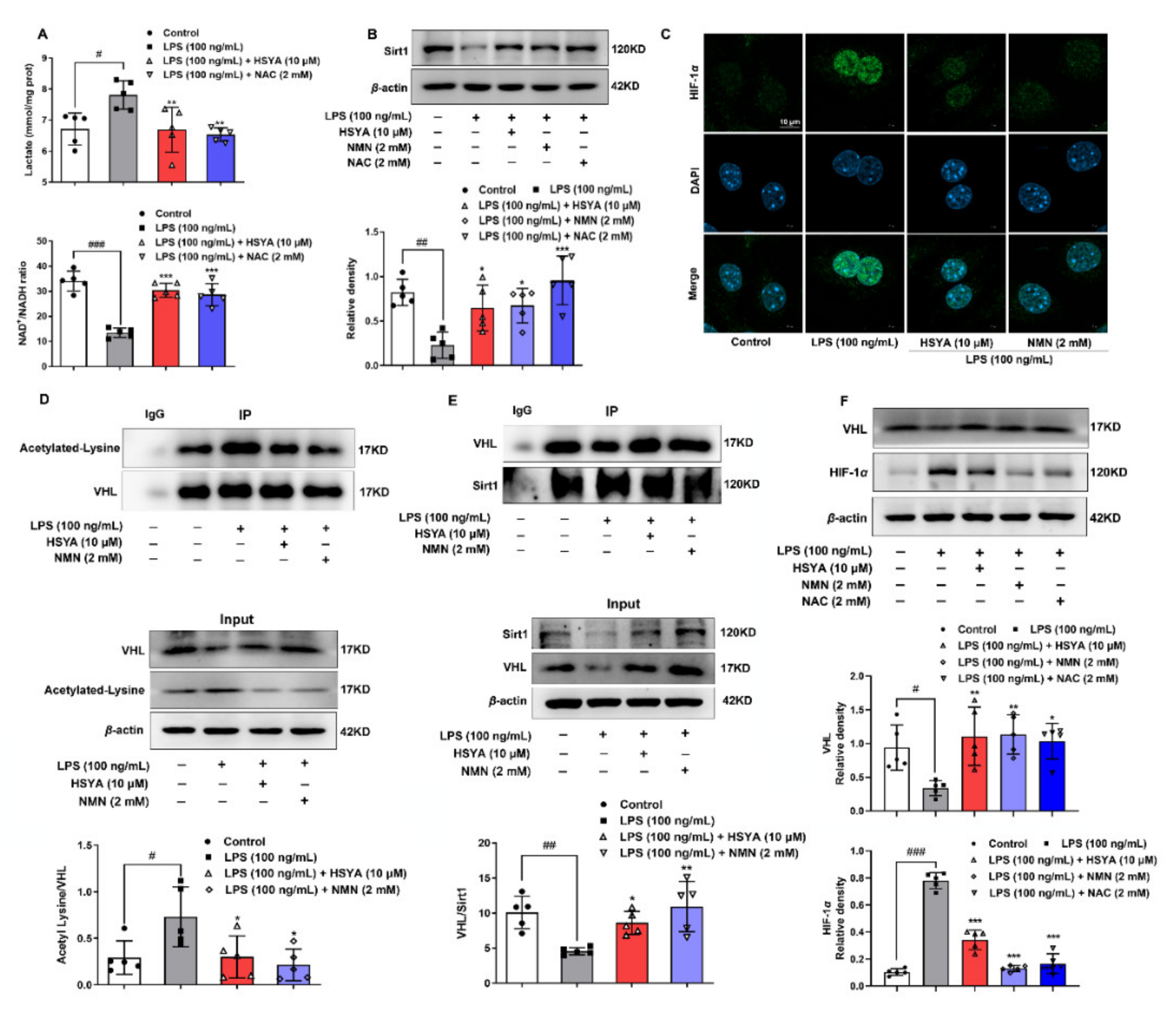 Antioxidants 11 00728 g002