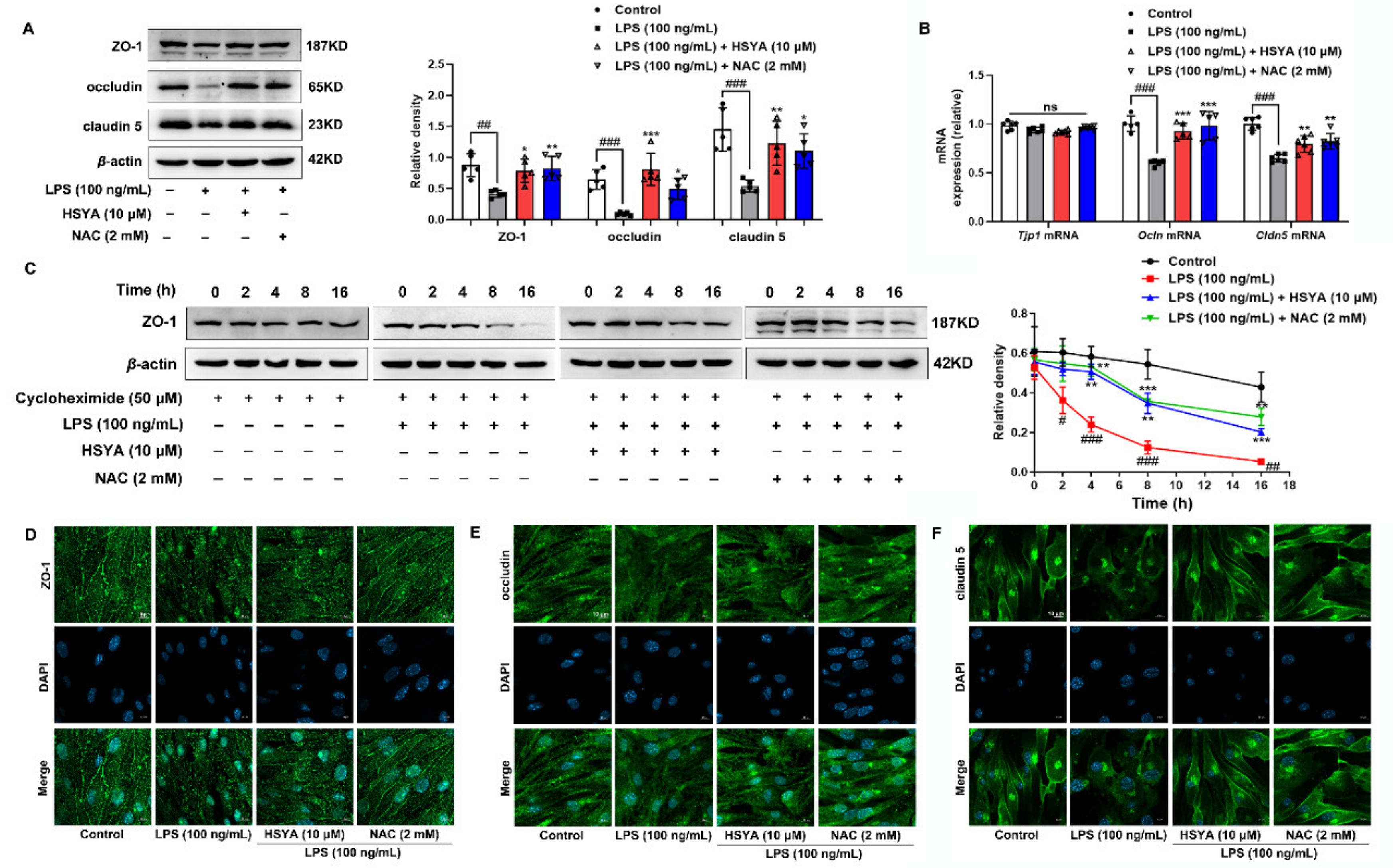 Antioxidants 11 00728 g004