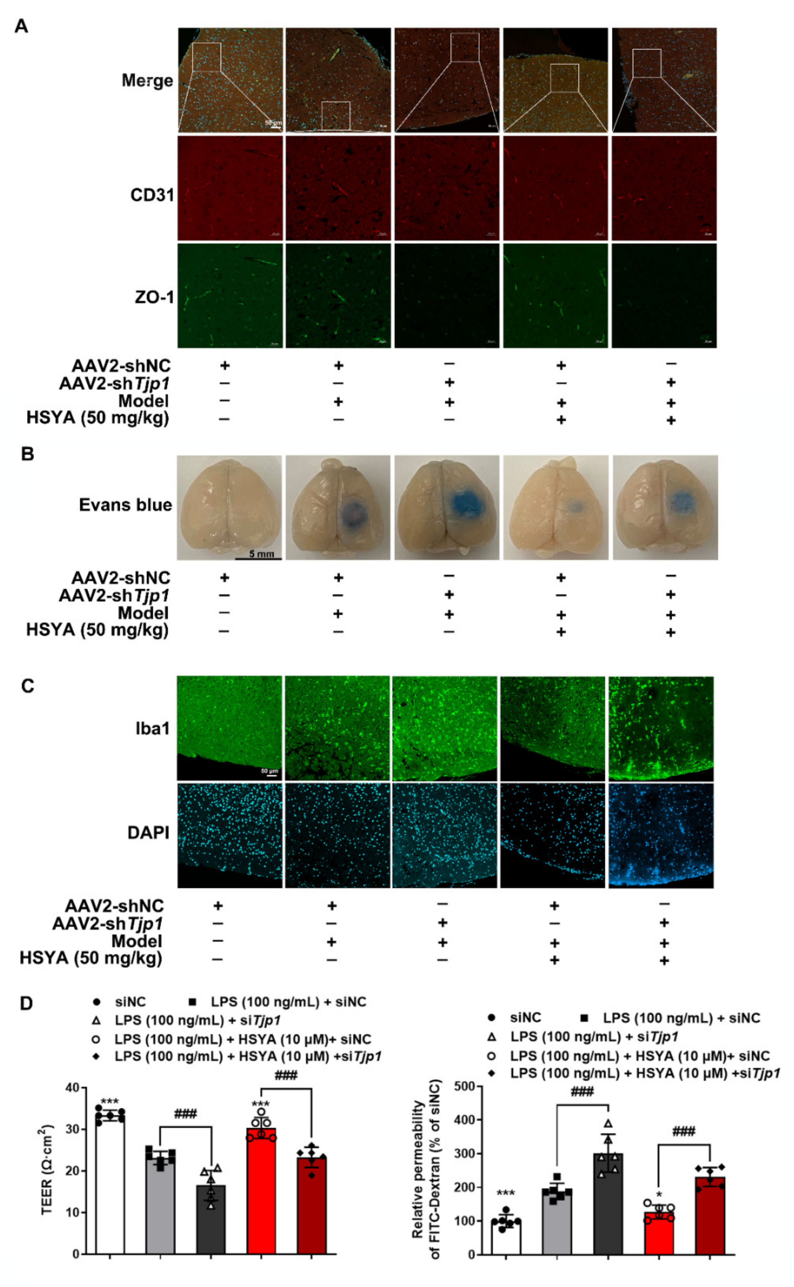 Antioxidants 11 00728 g006