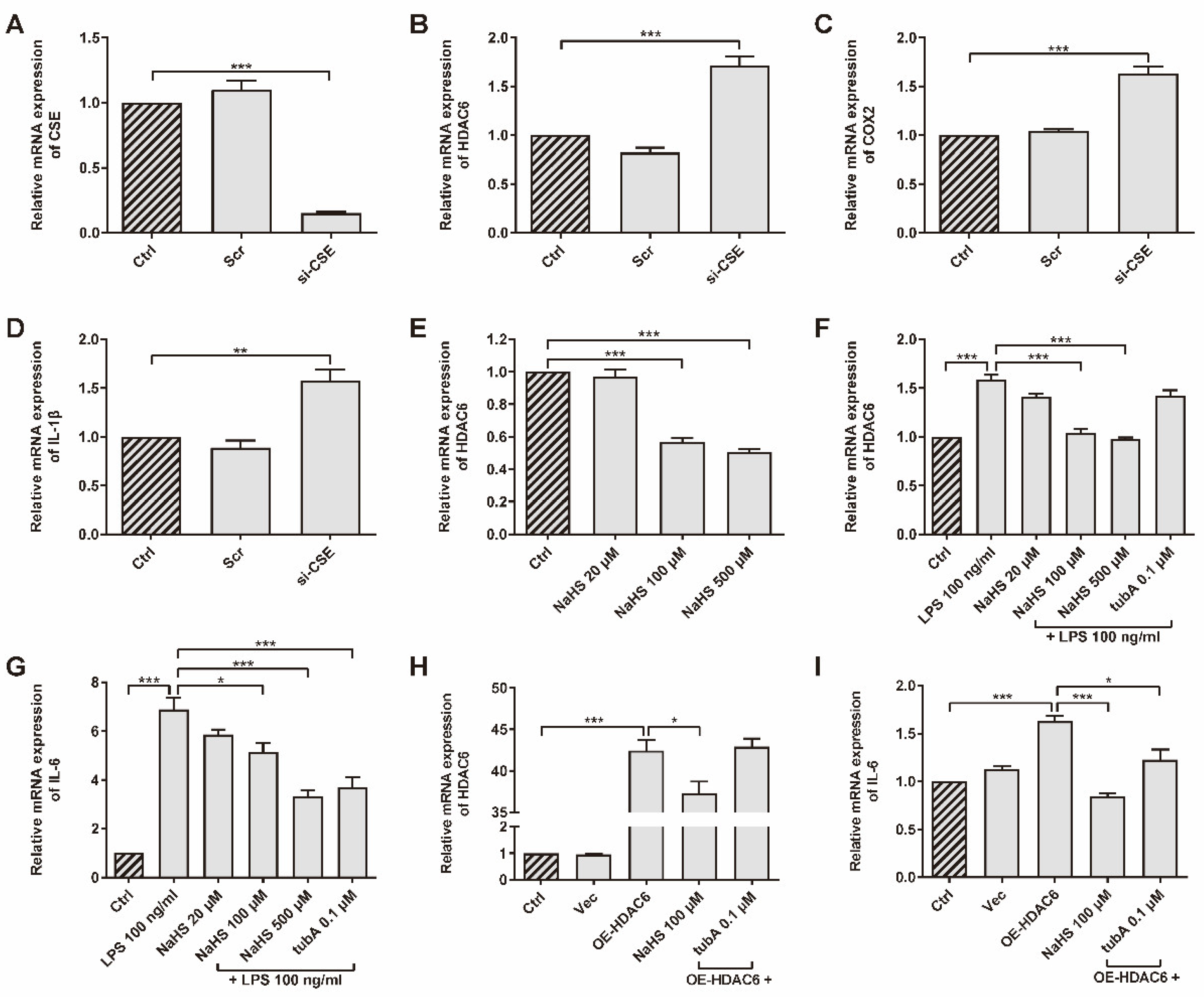Antioxidants 11 00732 g001