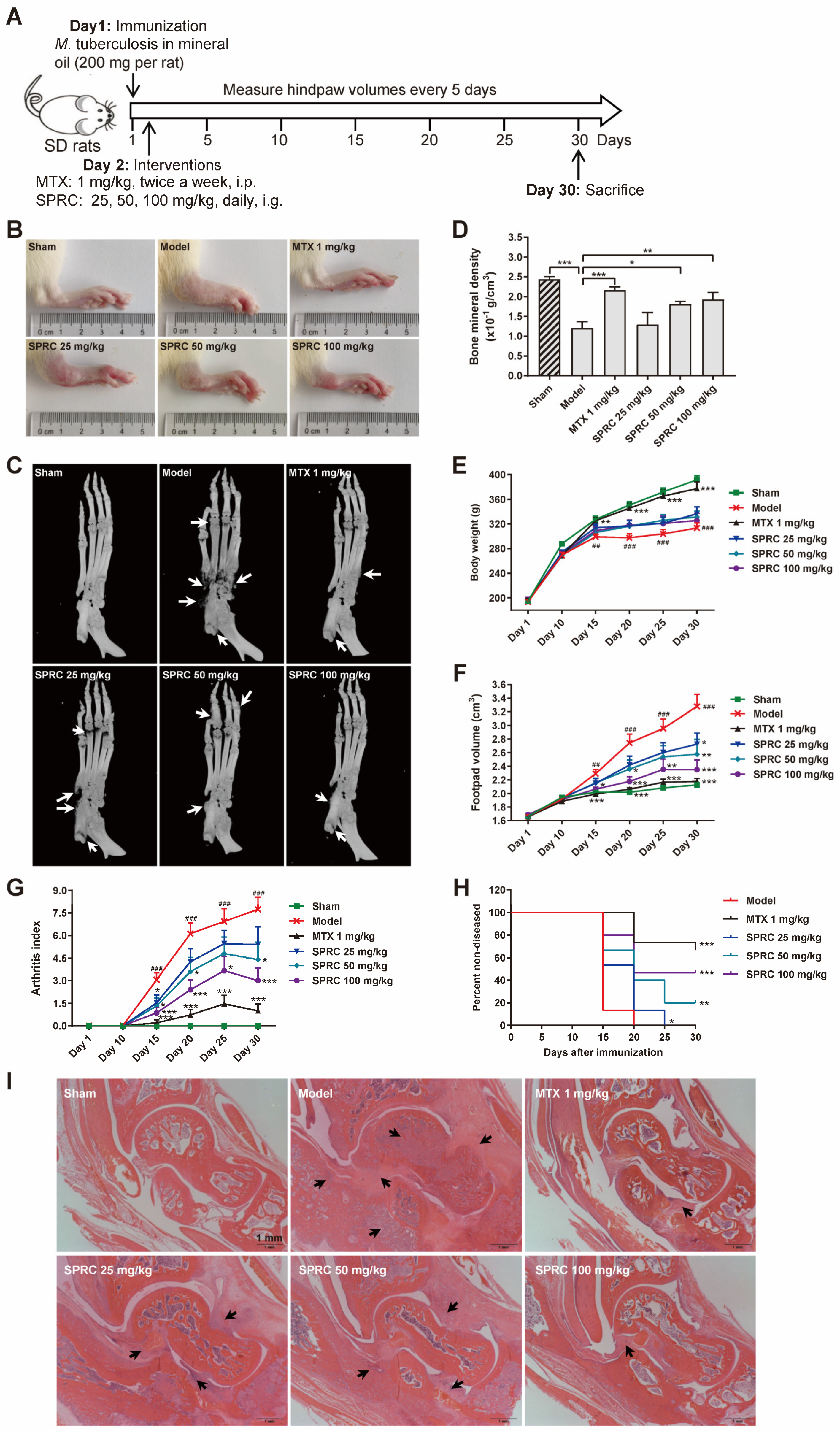 Antioxidants 11 00732 g002