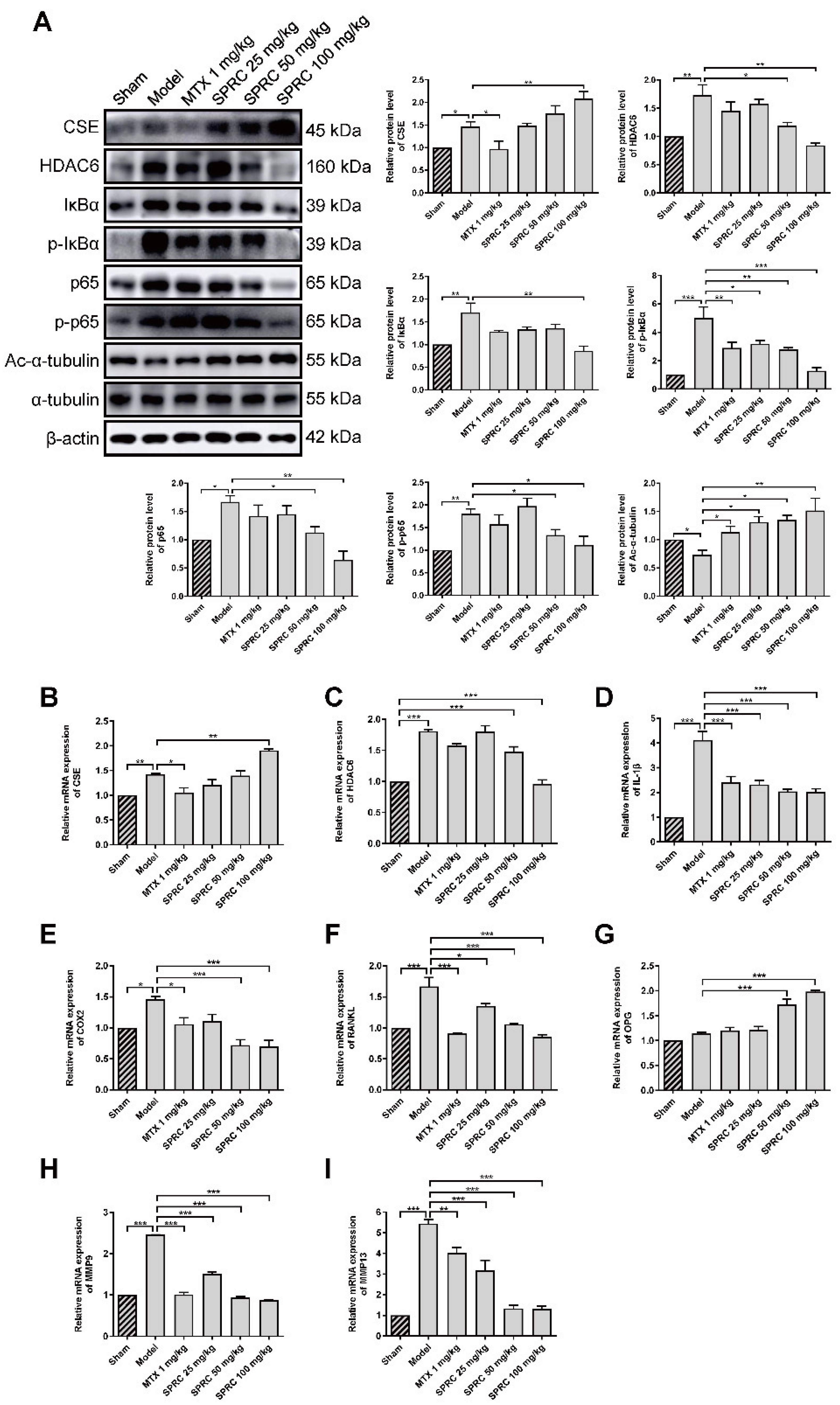Antioxidants 11 00732 g004