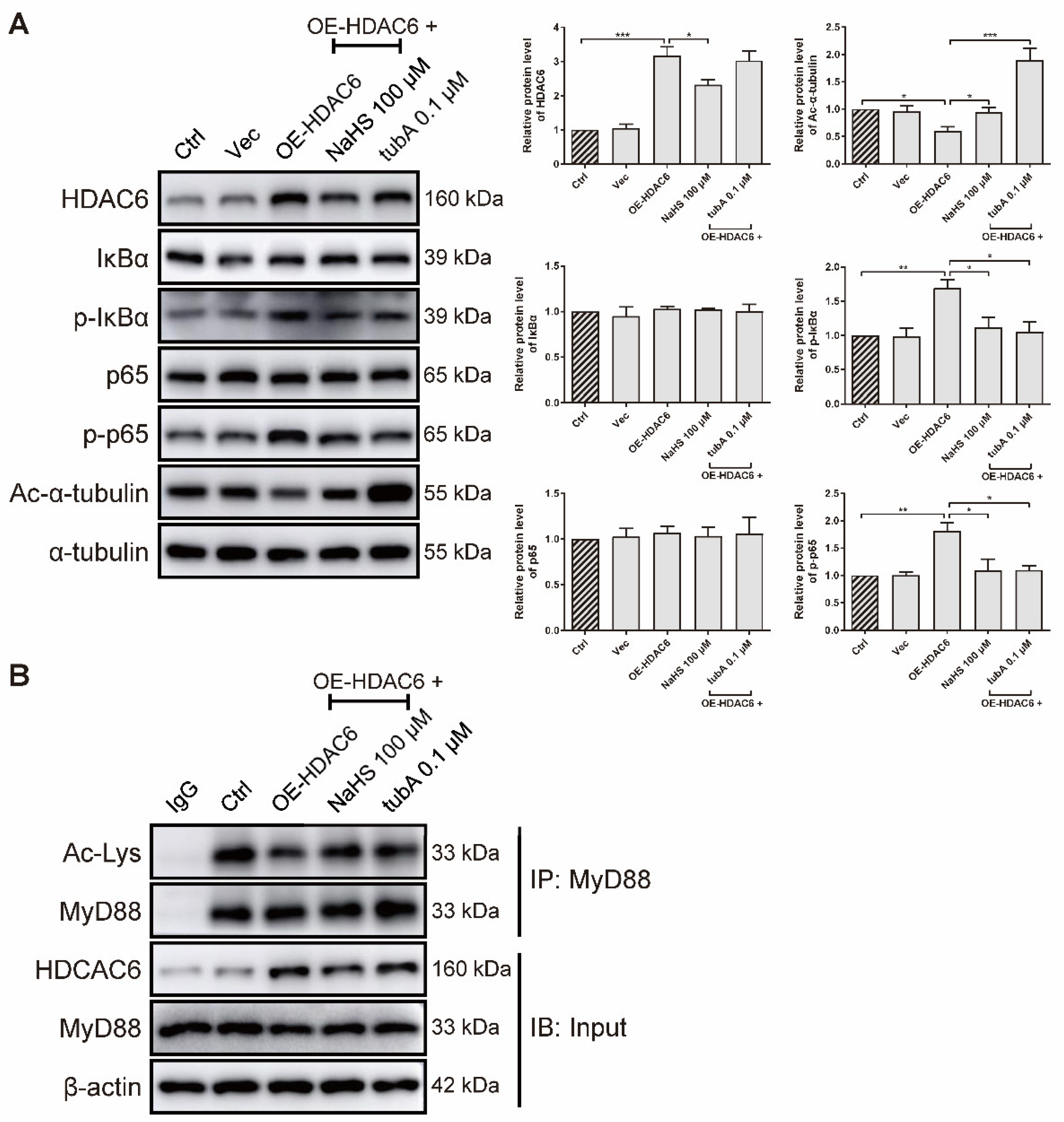 Antioxidants 11 00732 g005