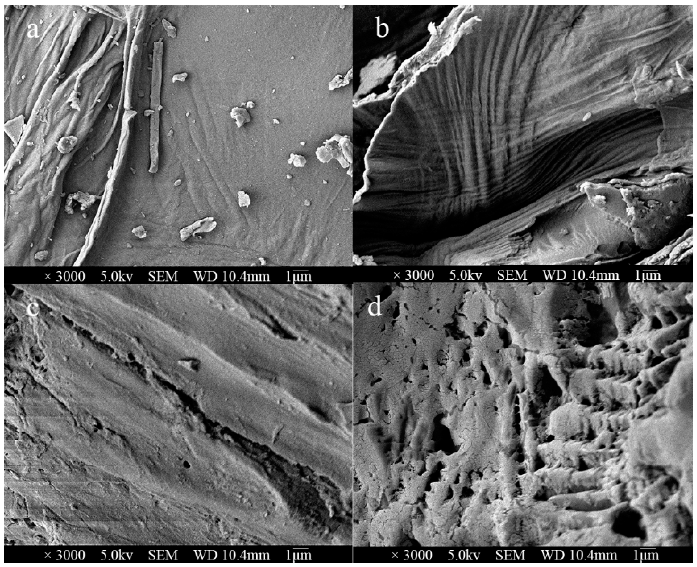 Antioxidants 11 00736 g002