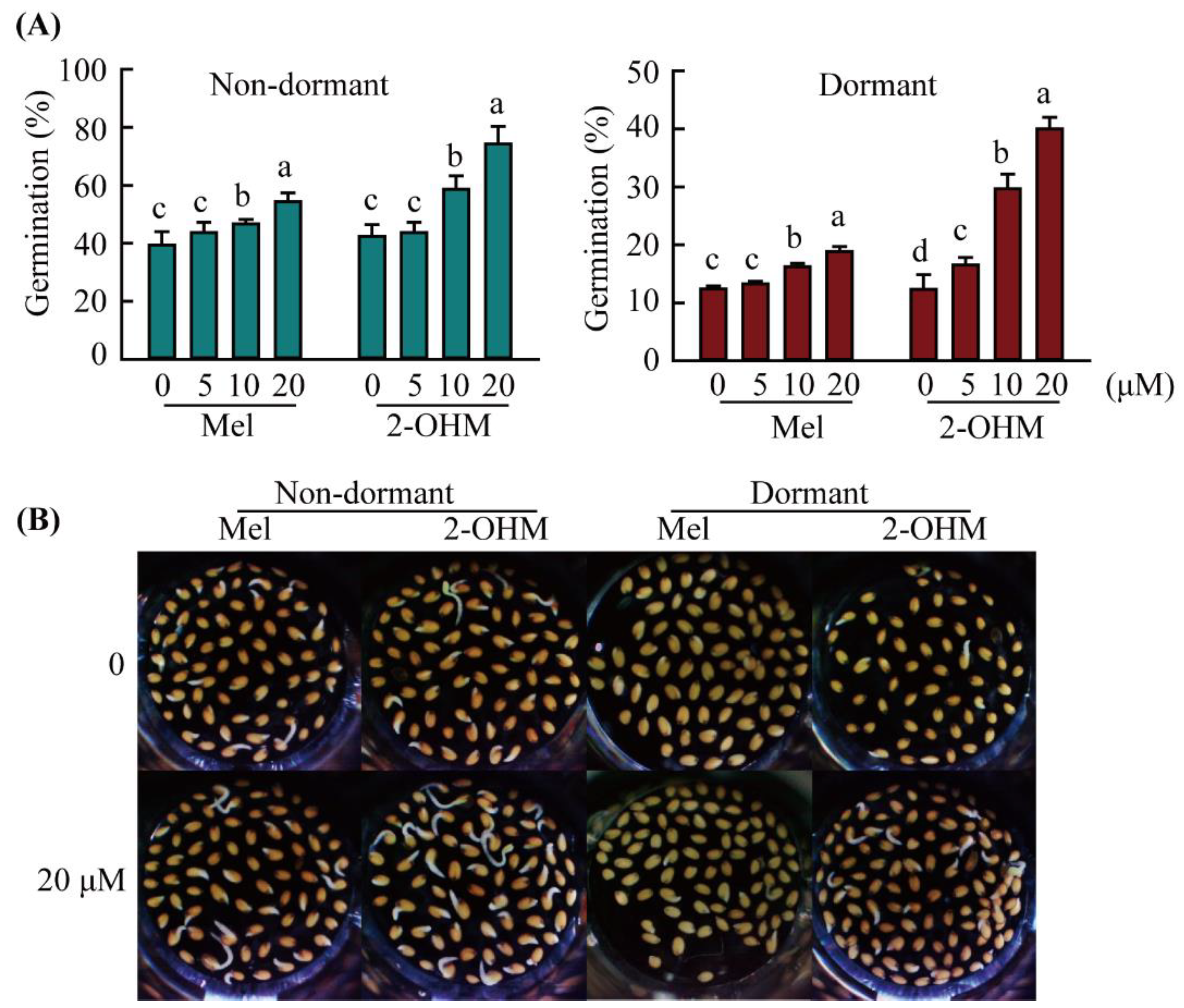 Antioxidants 11 00737 g001