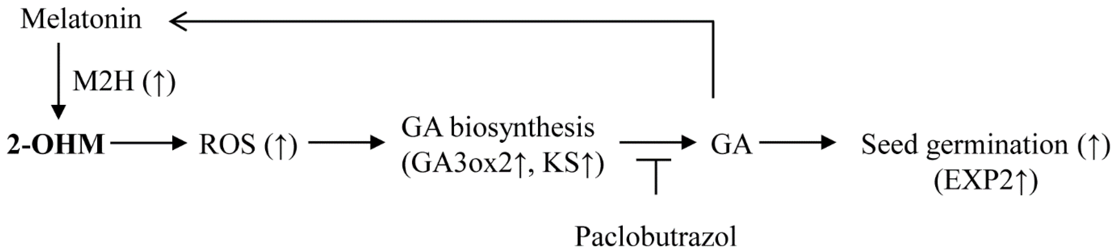Antioxidants 11 00737 g008