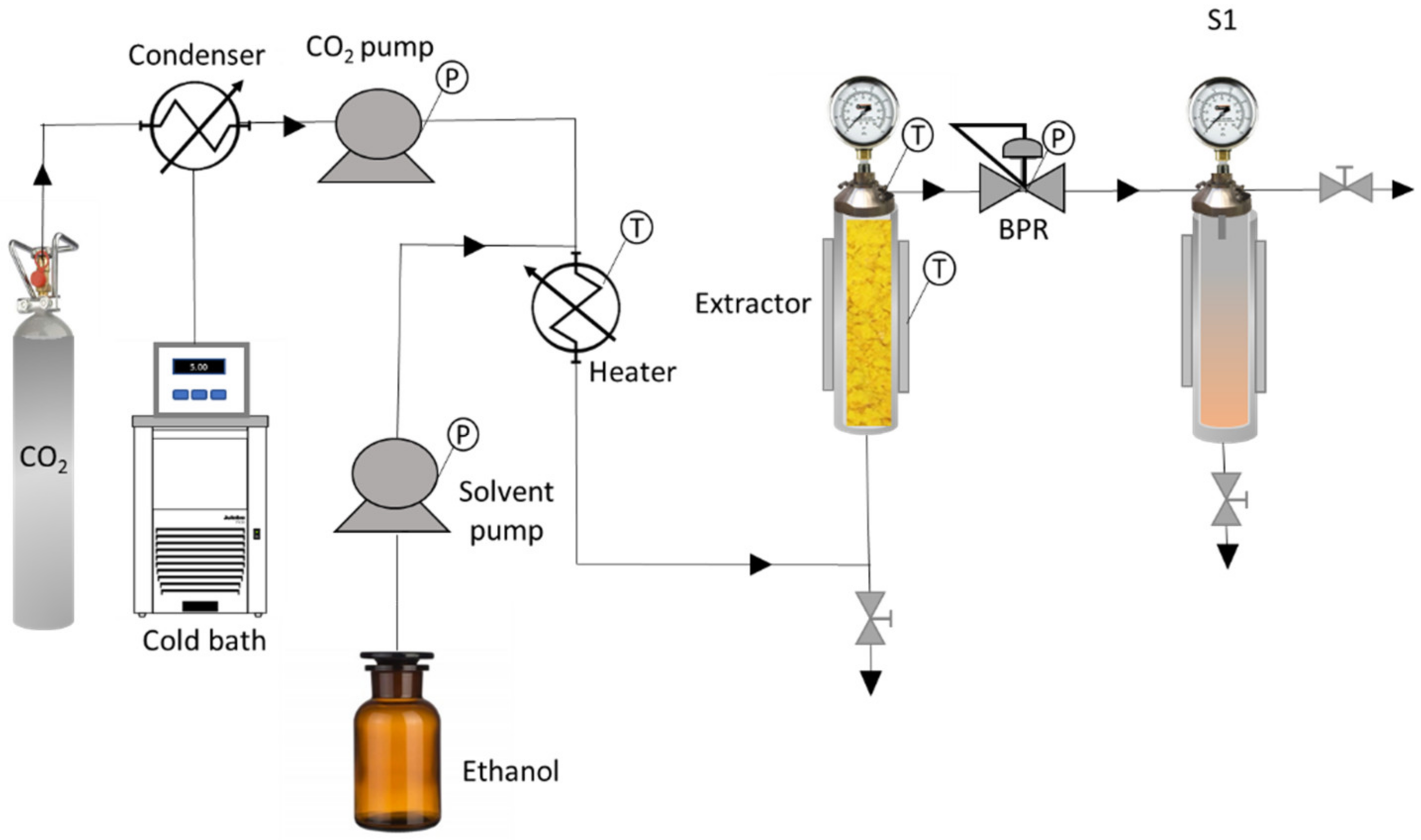 Antioxidants 11 00738 g001