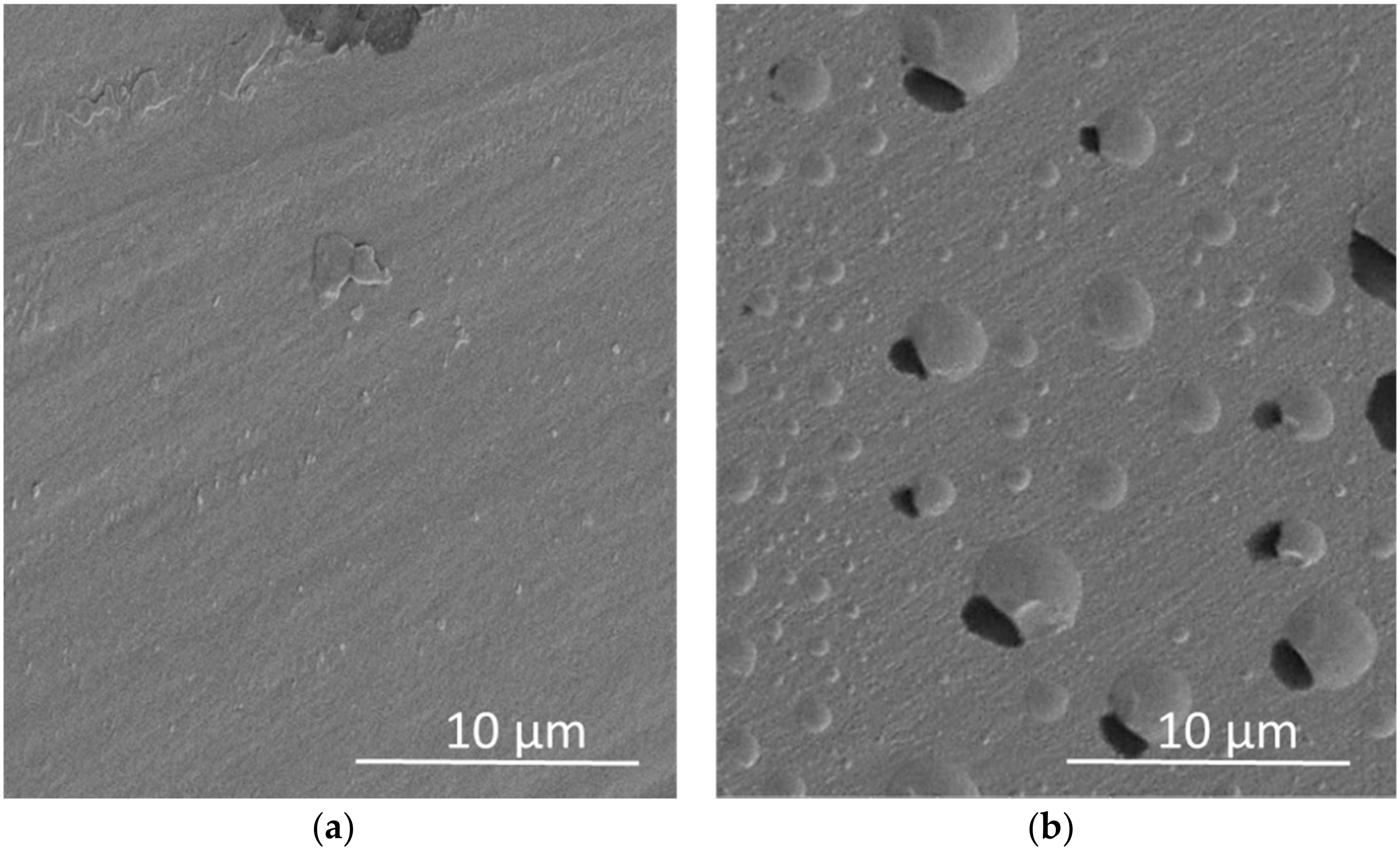 Antioxidants 11 00738 g007