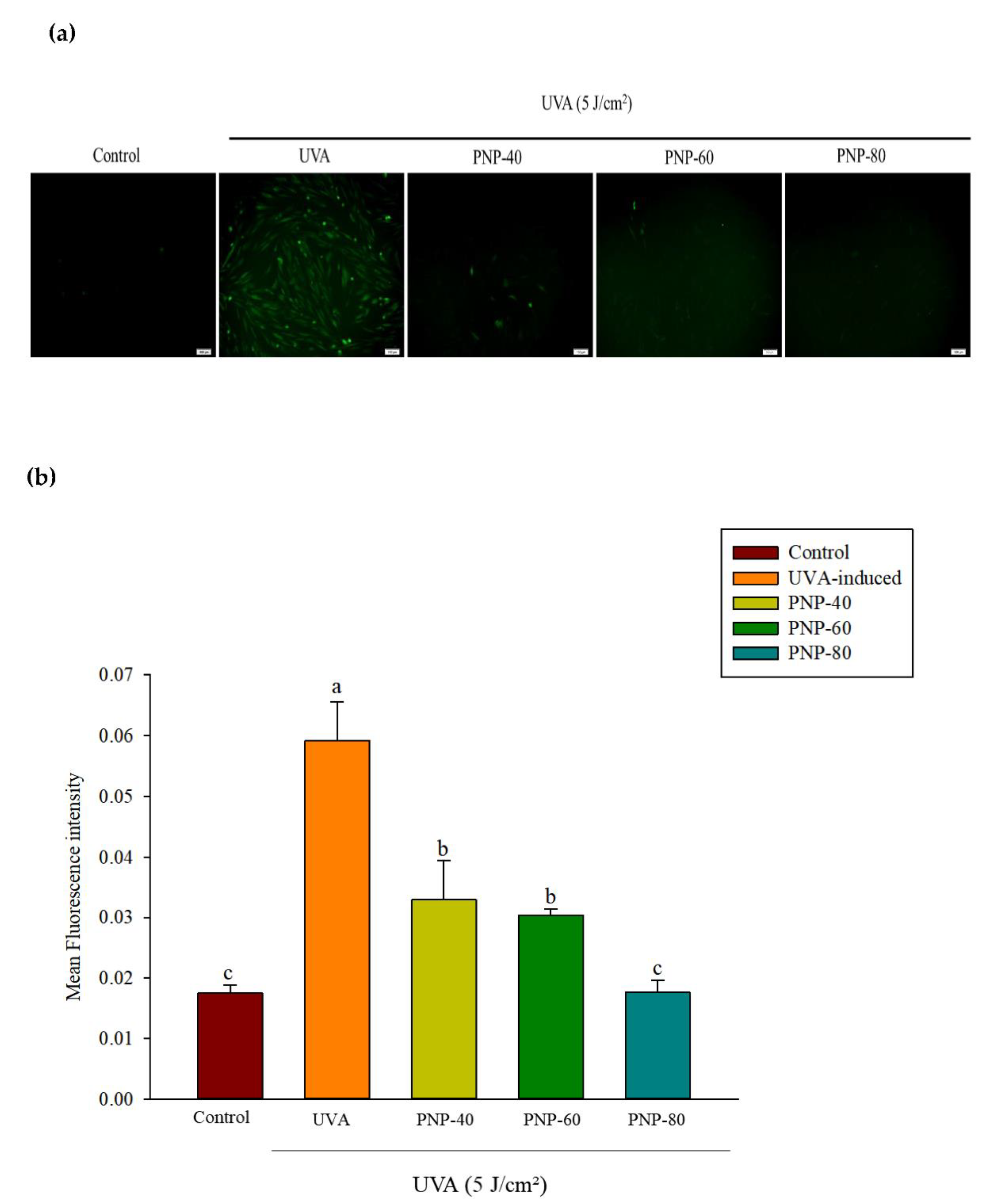 Antioxidants 11 00739 g005
