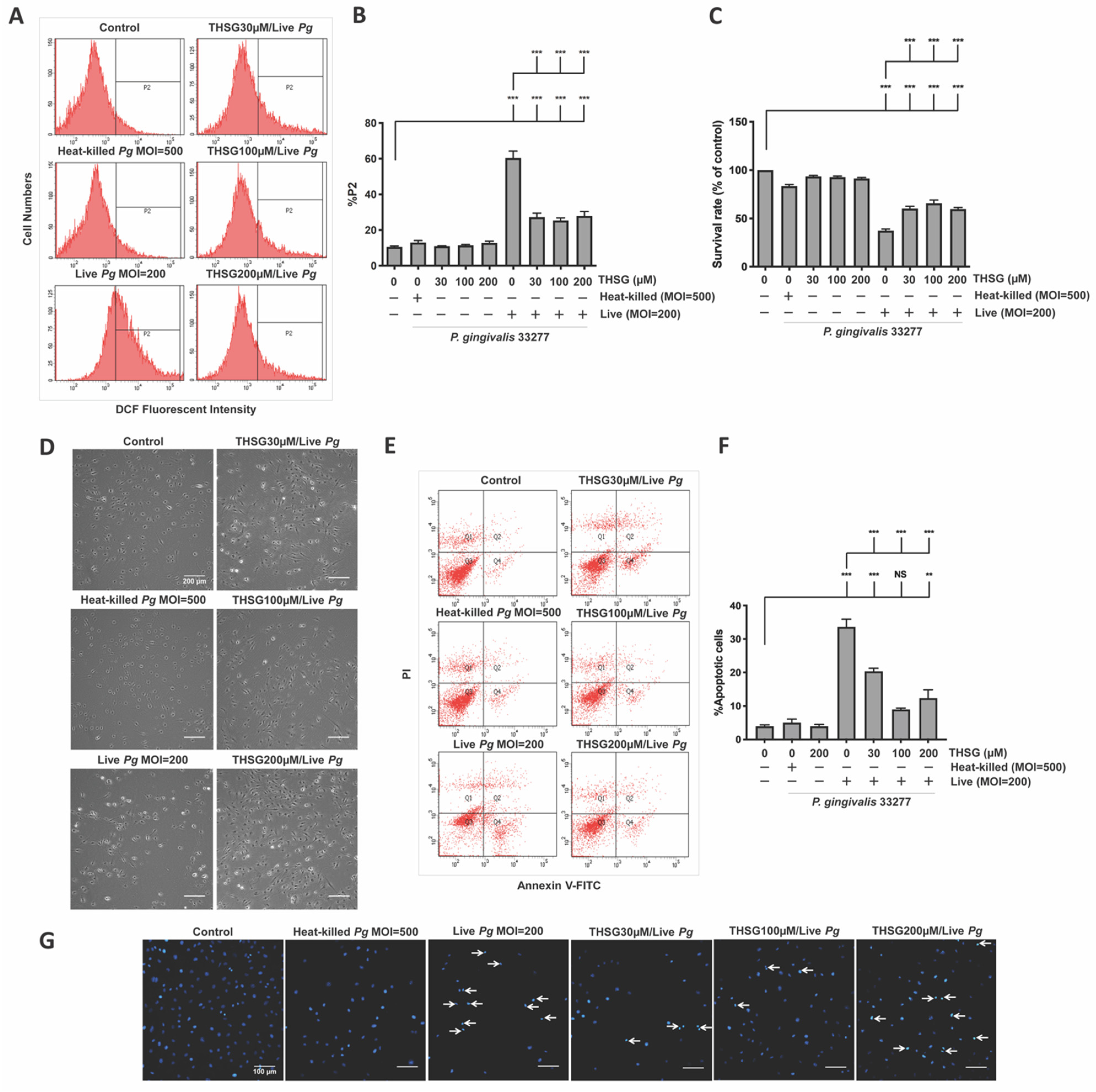 Antioxidants 11 00740 g001