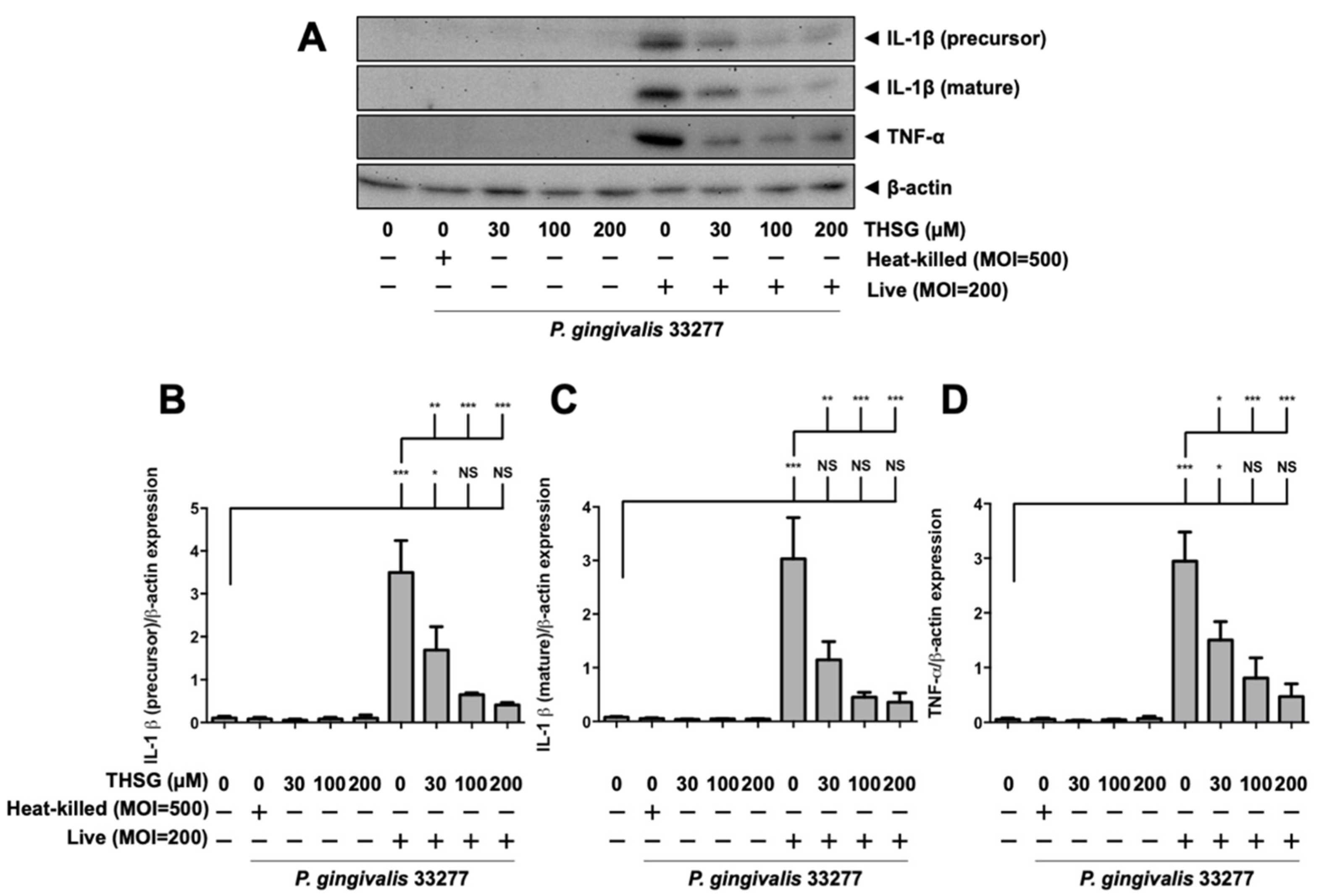 Antioxidants 11 00740 g002