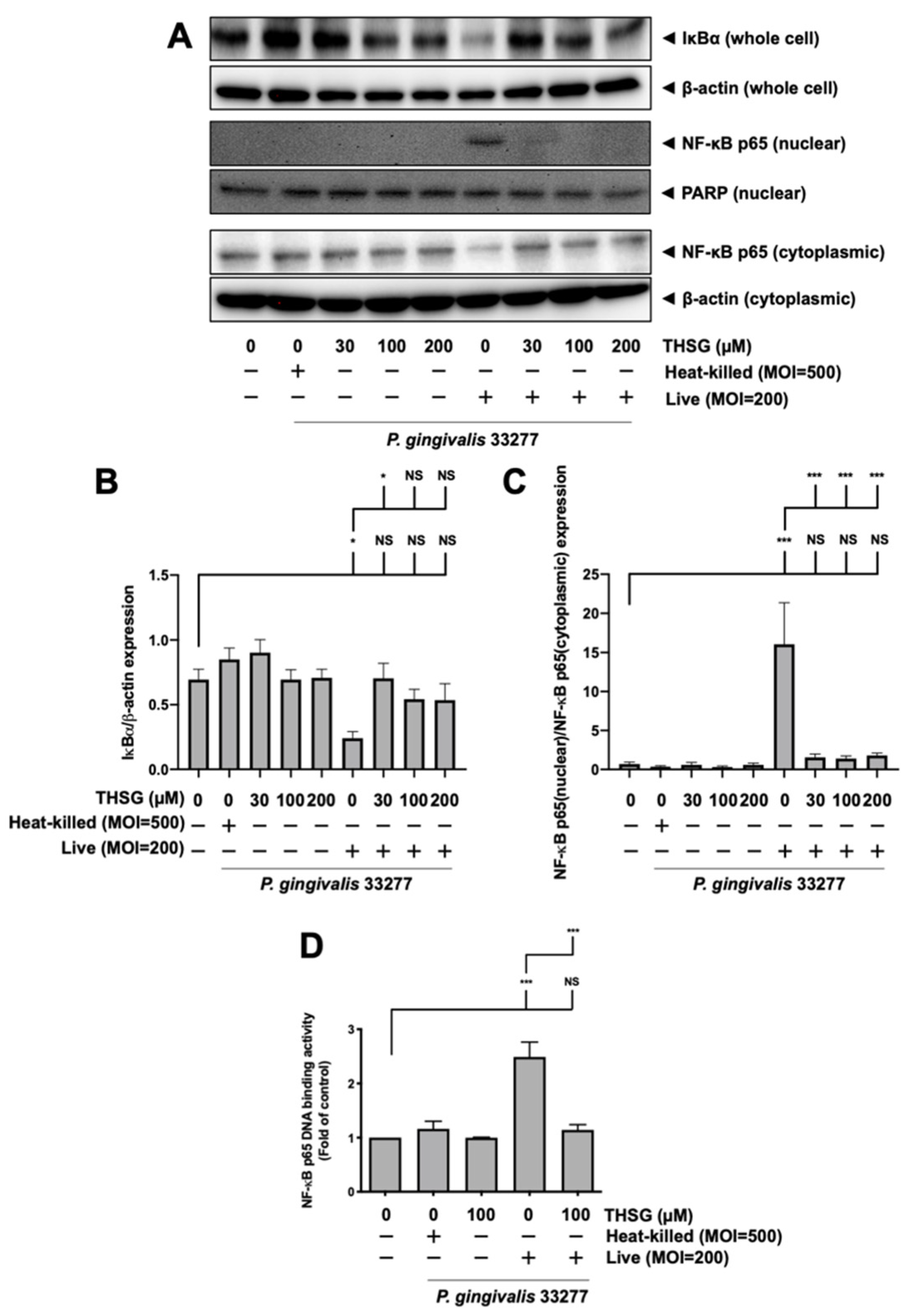 Antioxidants 11 00740 g003