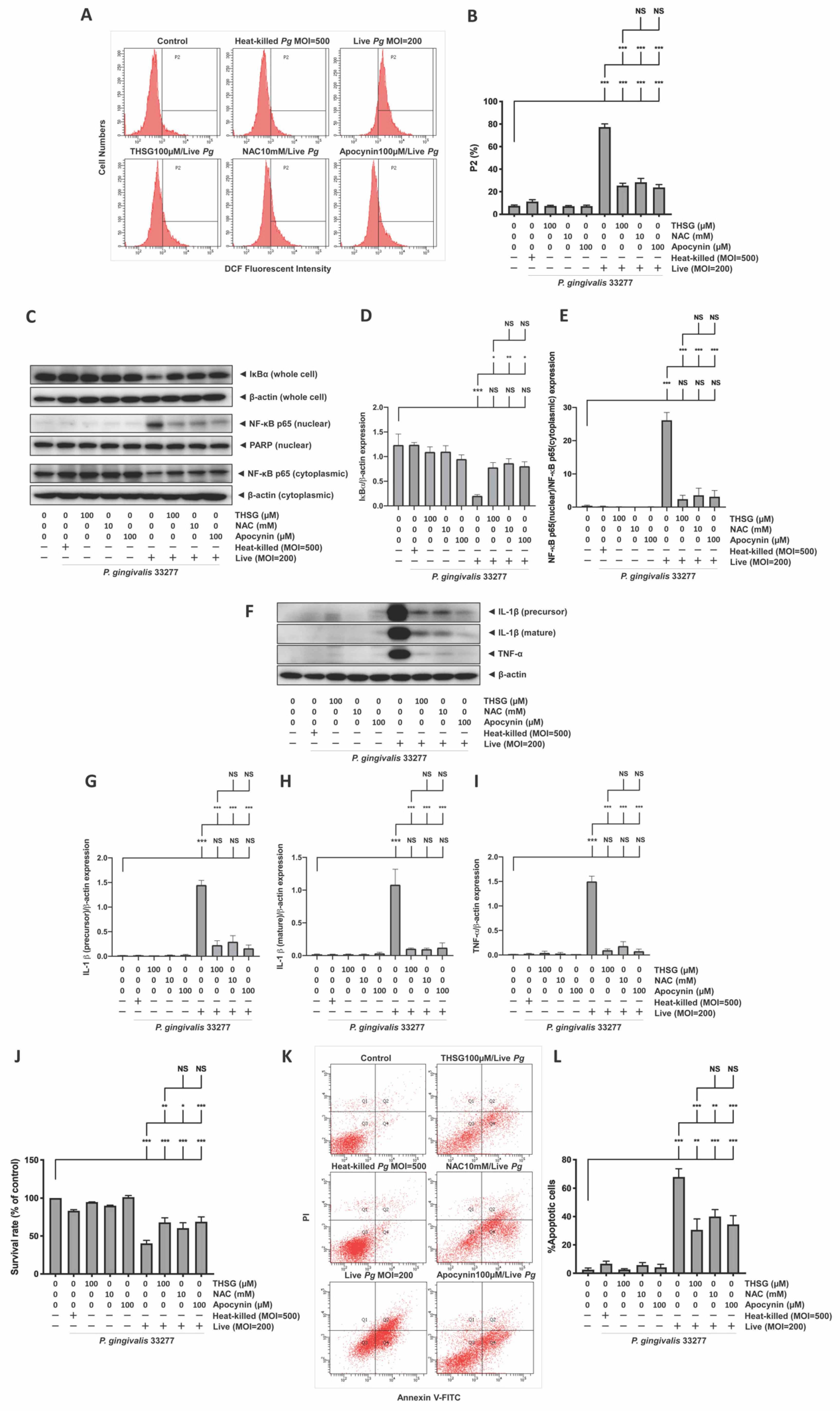Antioxidants 11 00740 g004