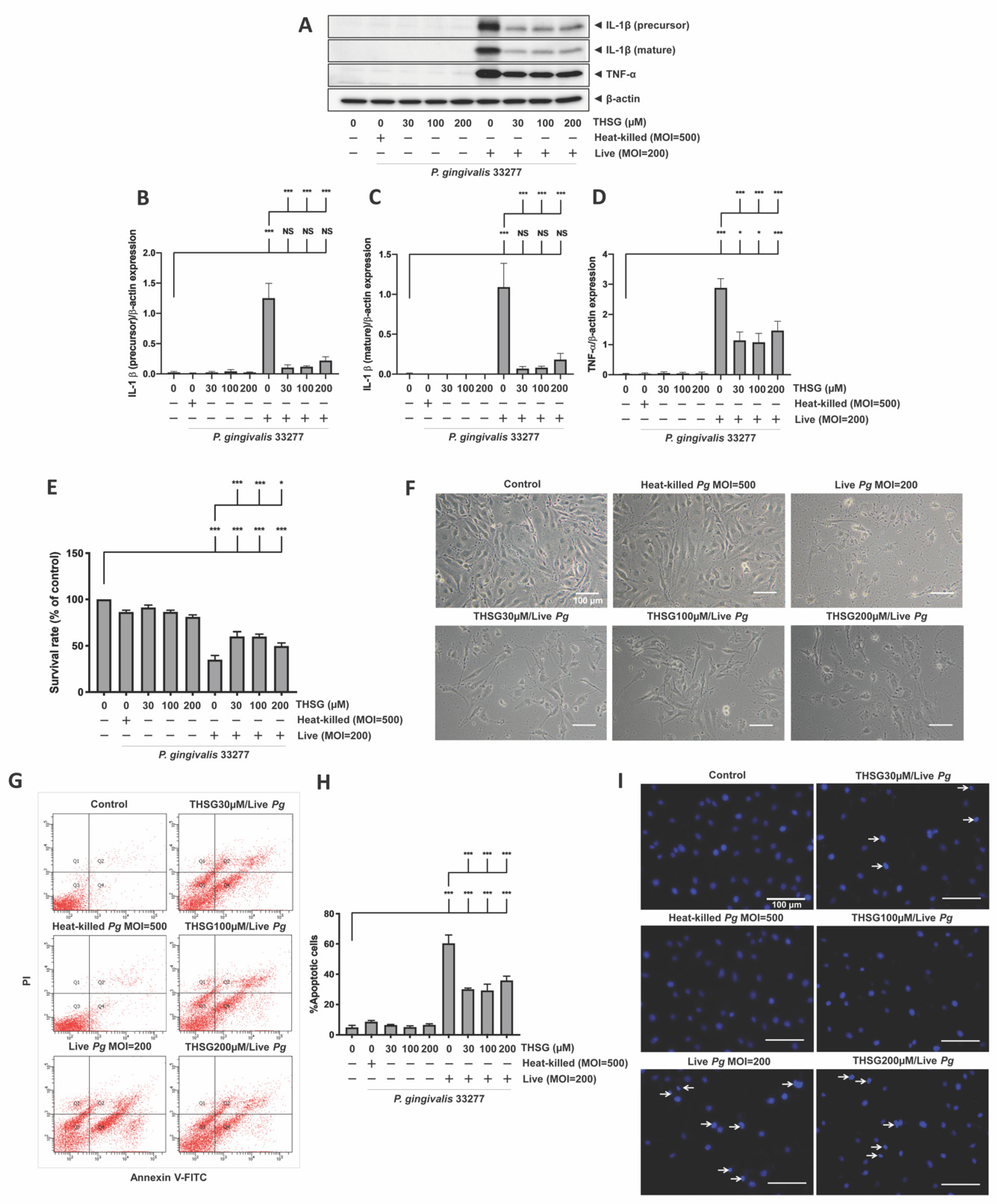 Antioxidants 11 00740 g005