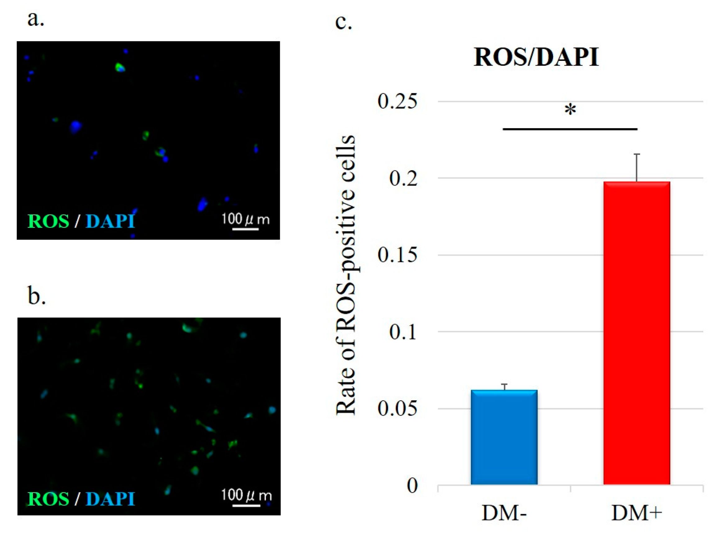 Antioxidants 11 00743 g004