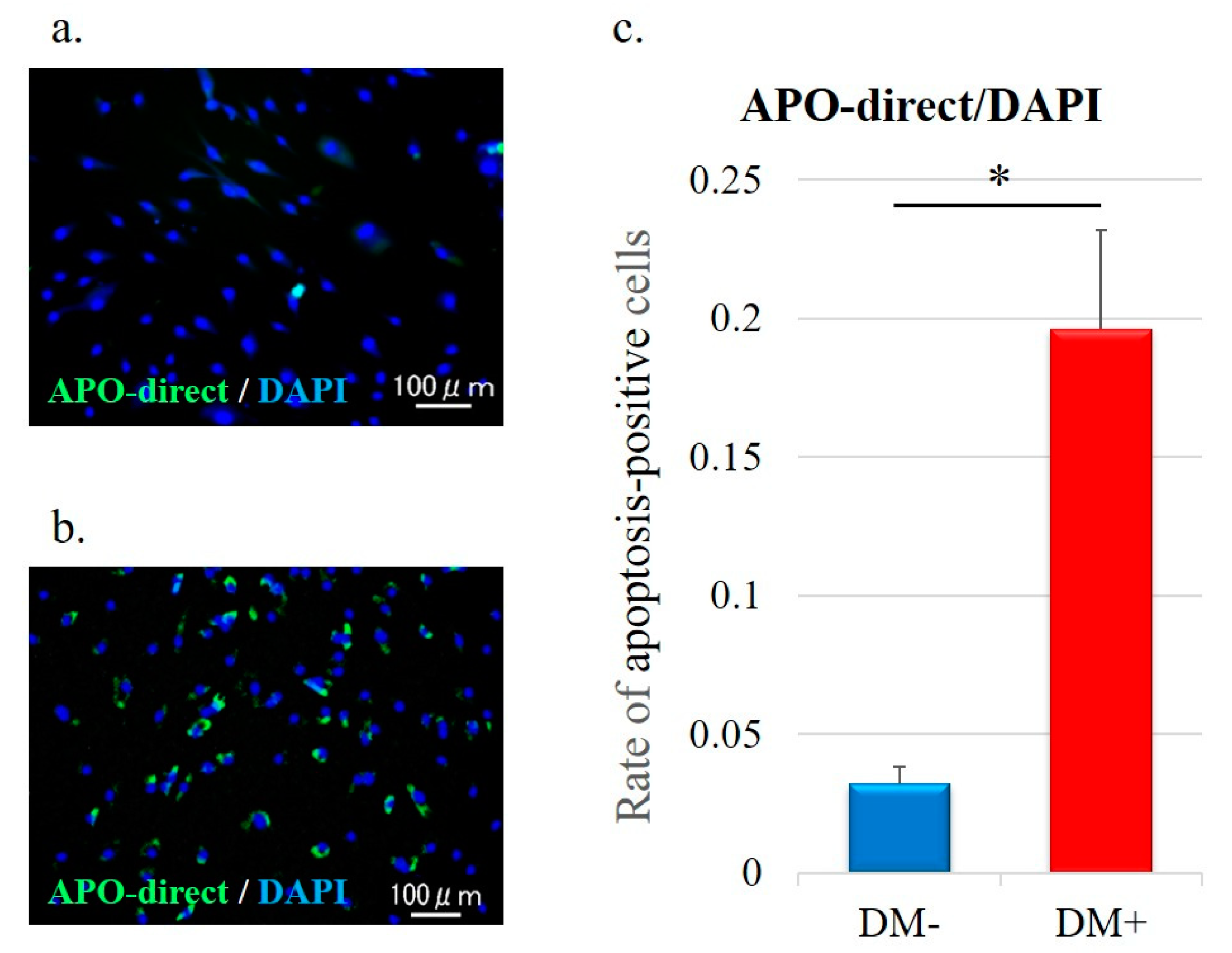 Antioxidants 11 00743 g005