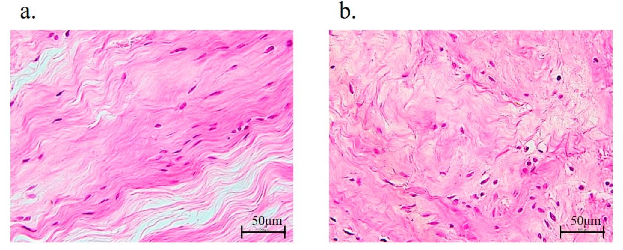 Antioxidants 11 00743 g006