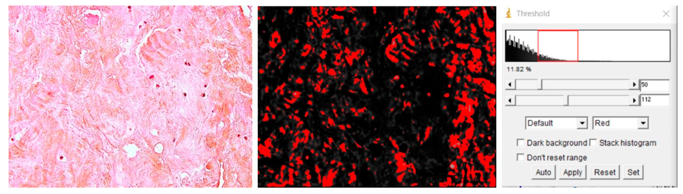 Antioxidants 11 00743 g007