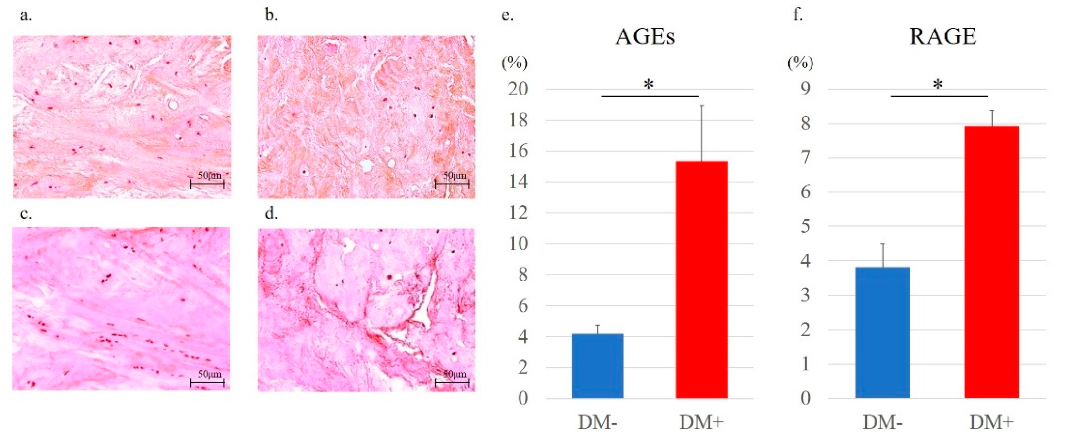 Antioxidants 11 00743 g008