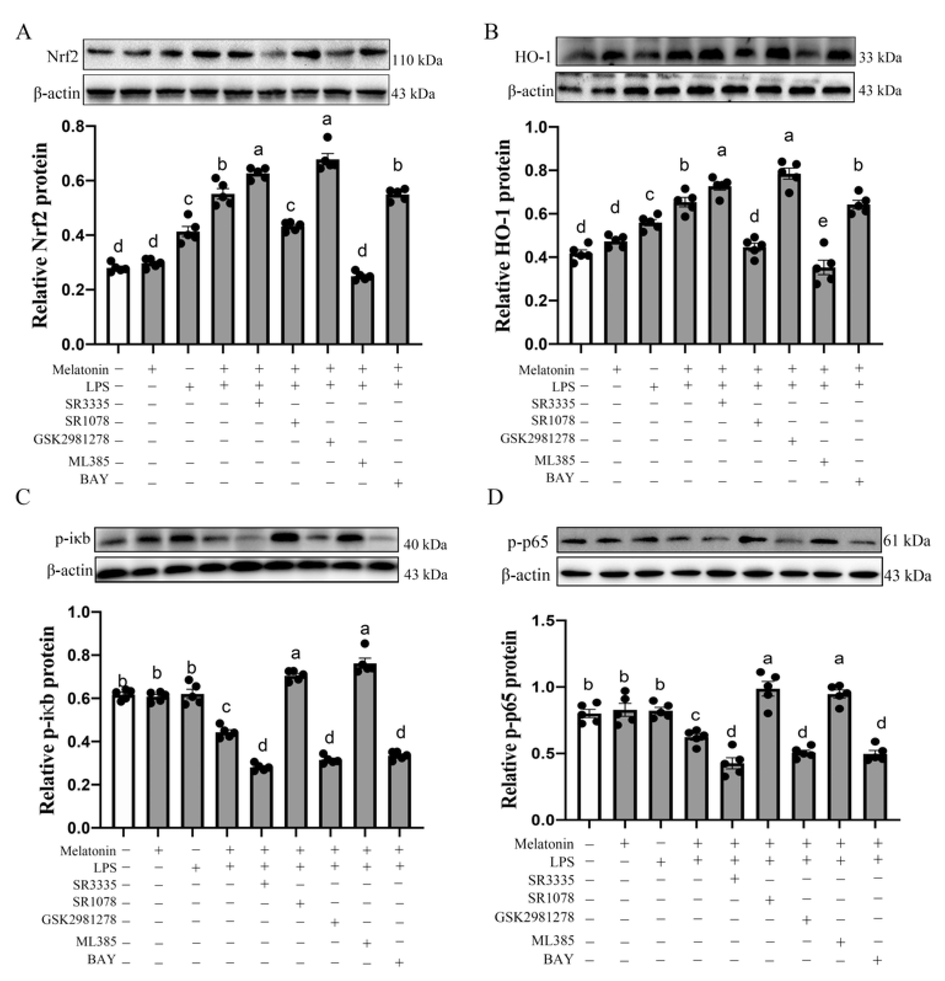 Antioxidants 11 00748 g006