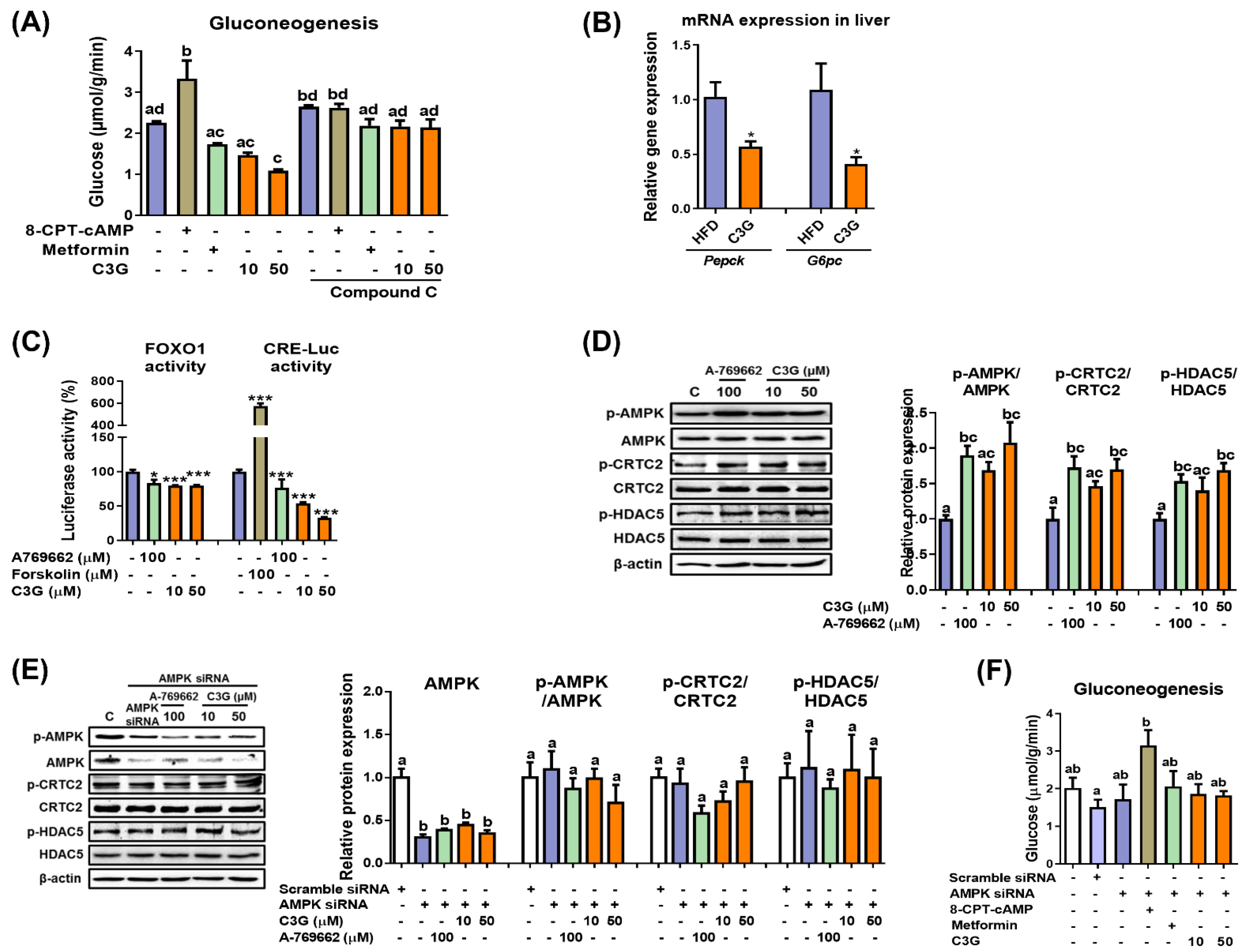 Antioxidants 11 00749 g001