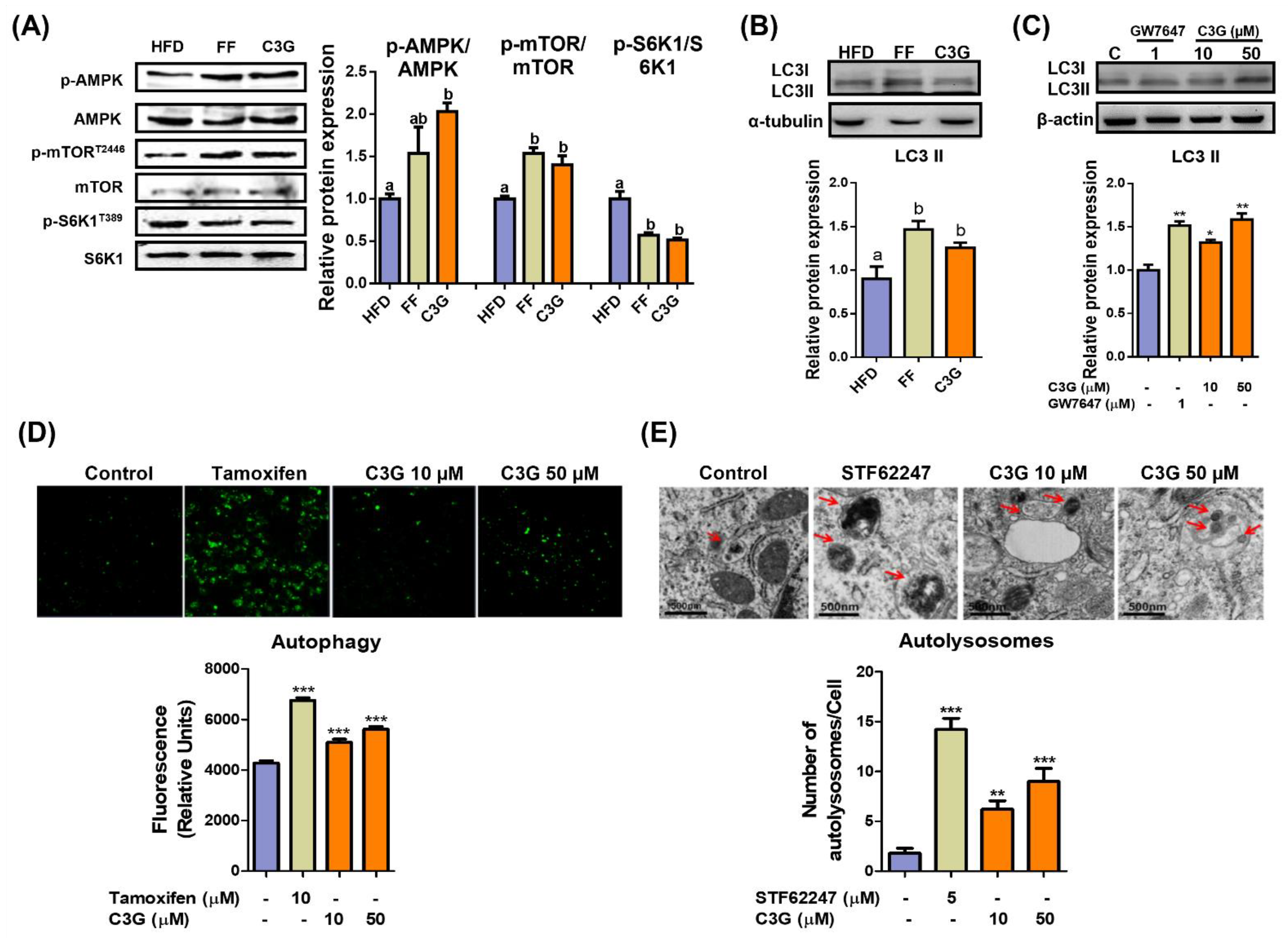 Antioxidants 11 00749 g002