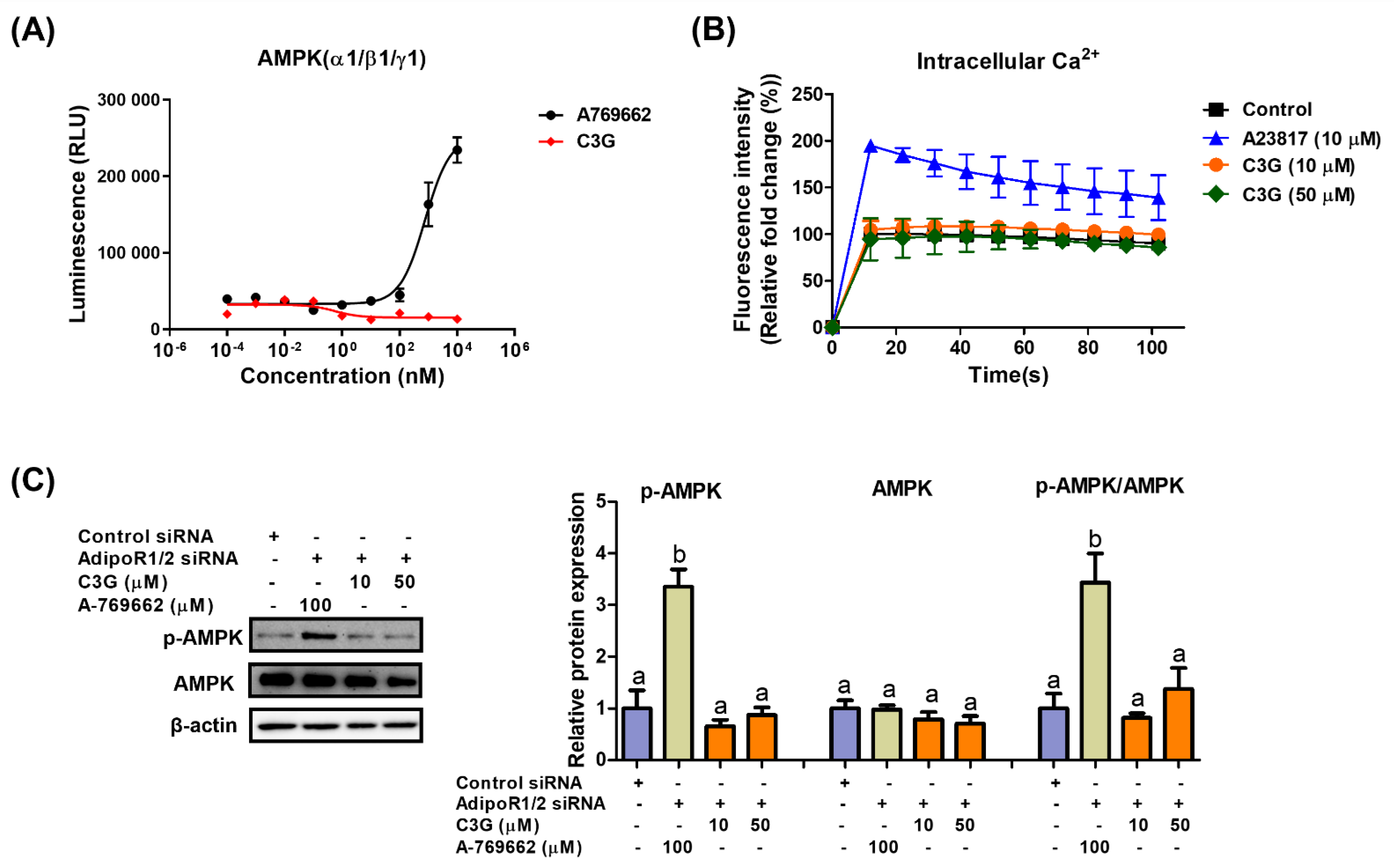 Antioxidants 11 00749 g003