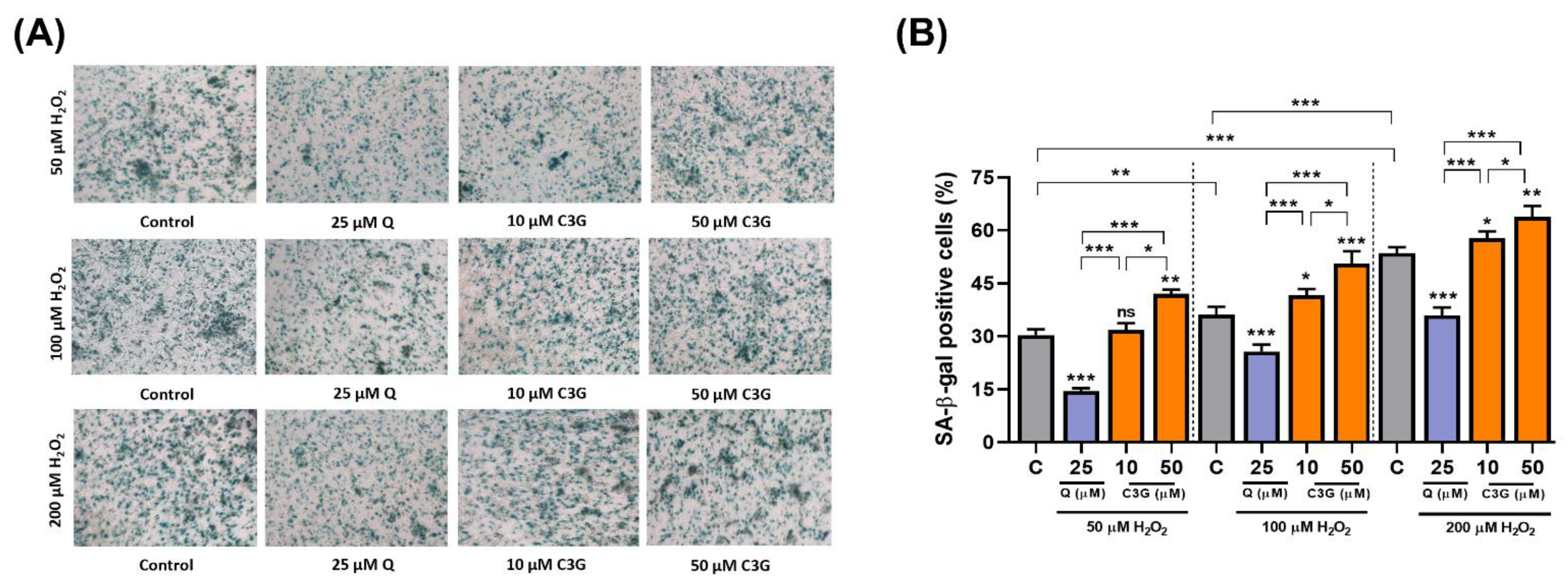 Antioxidants 11 00749 g005