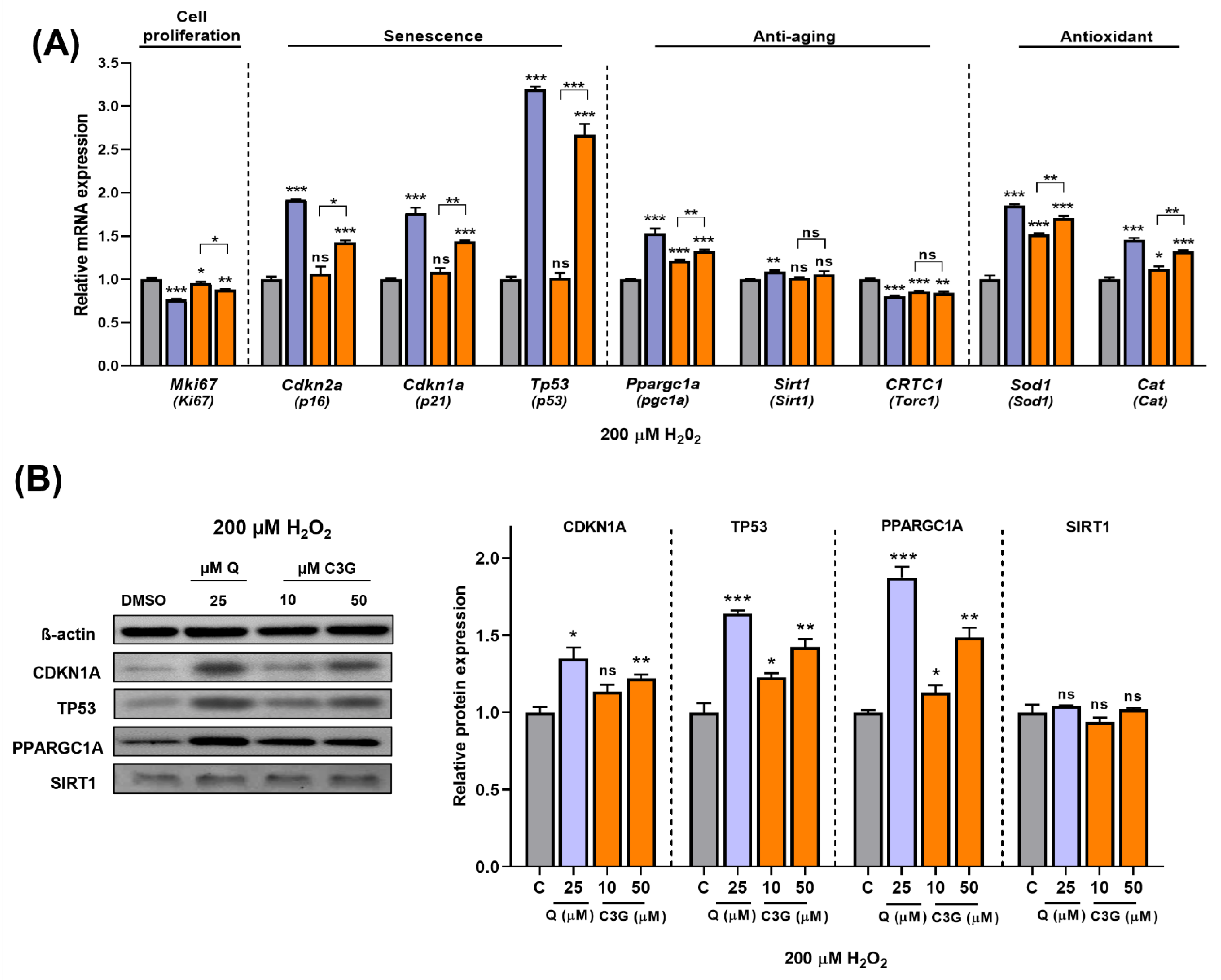 Antioxidants 11 00749 g006