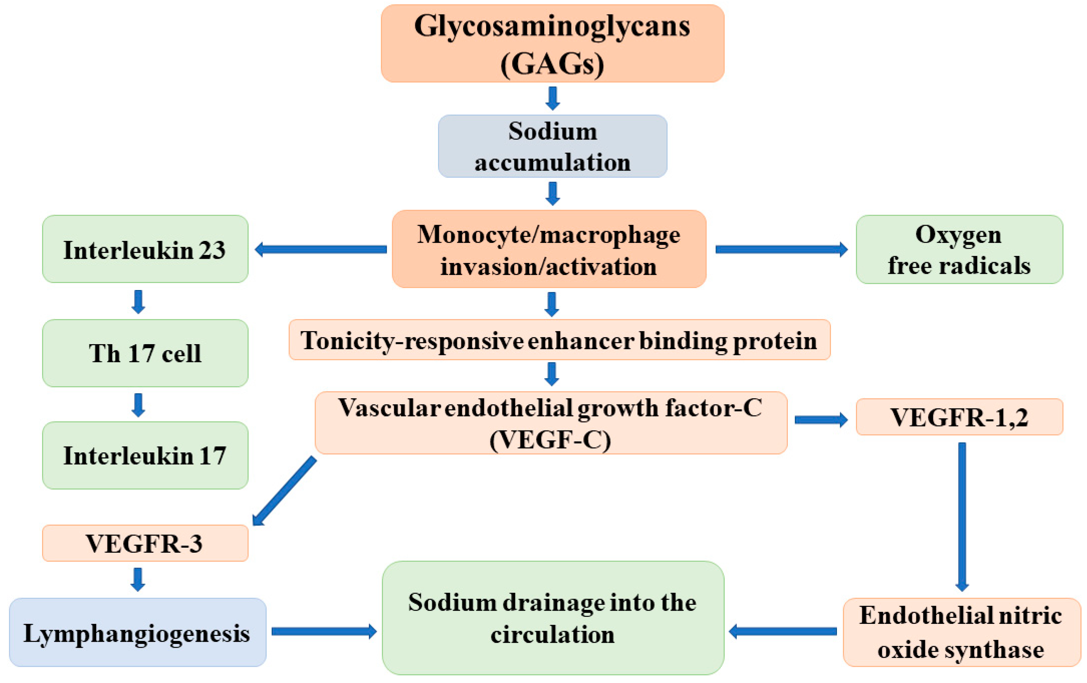 Antioxidants 11 00750 g002