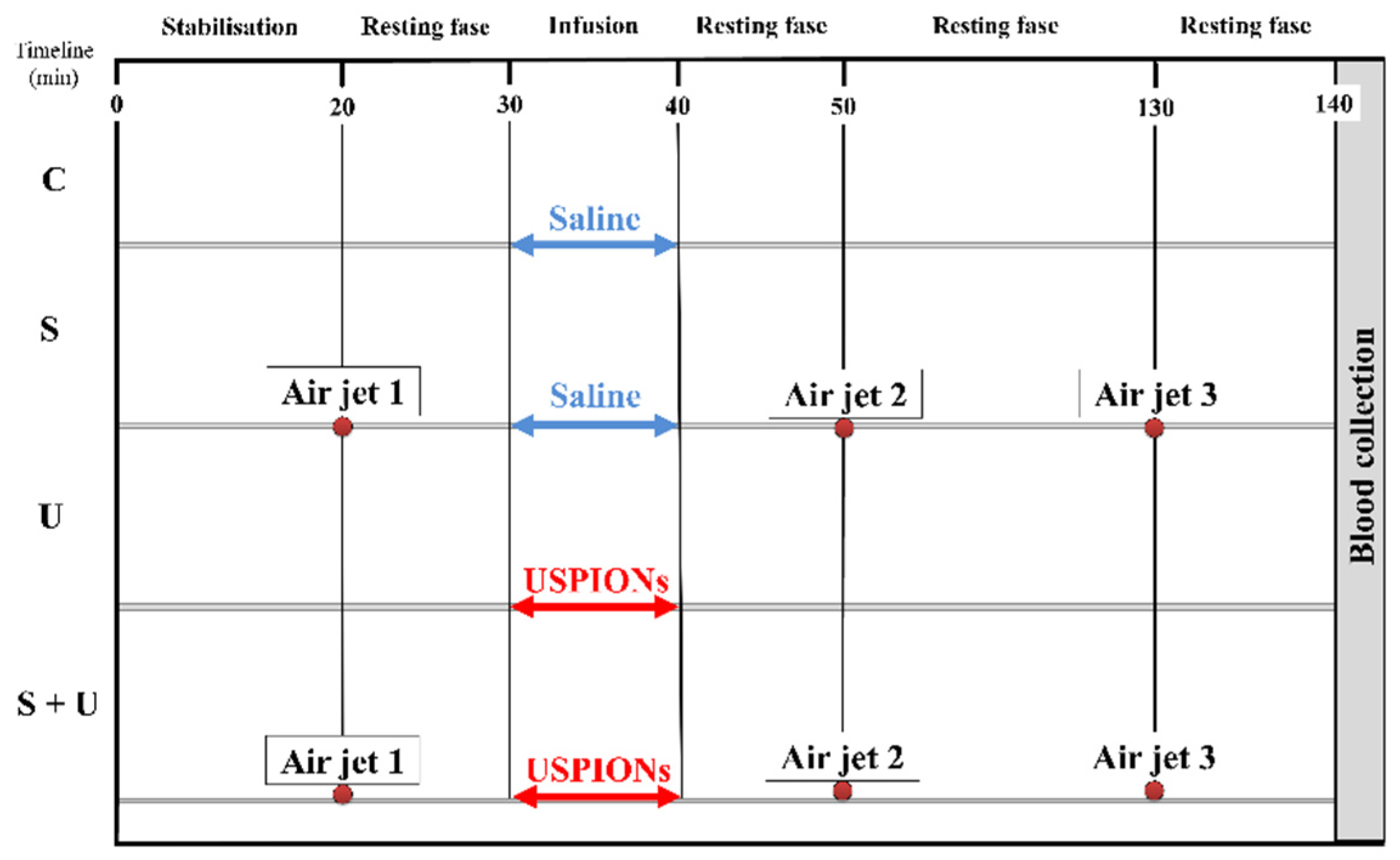 Antioxidants 11 00751 g001
