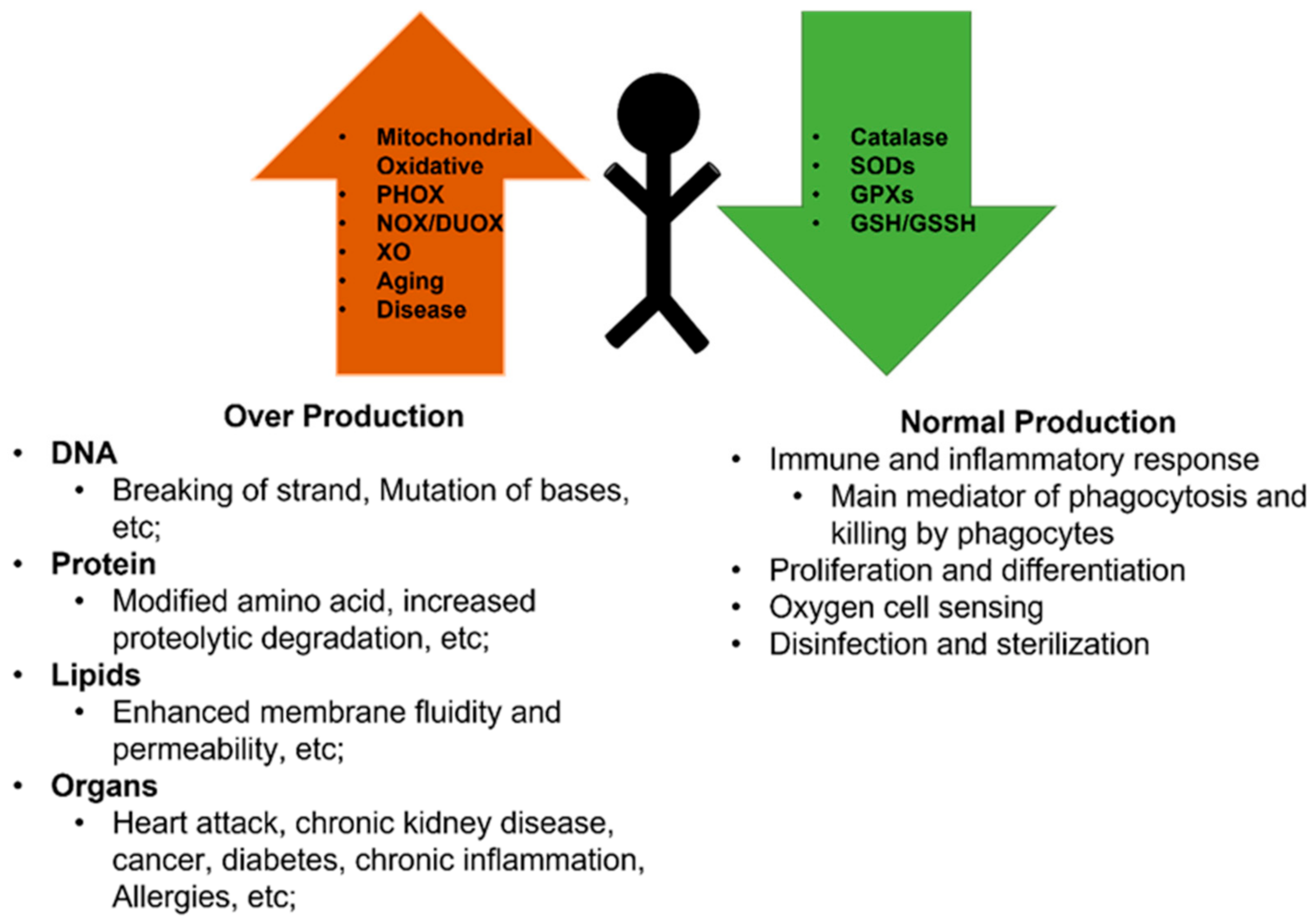 Antioxidants 11 00755 g001