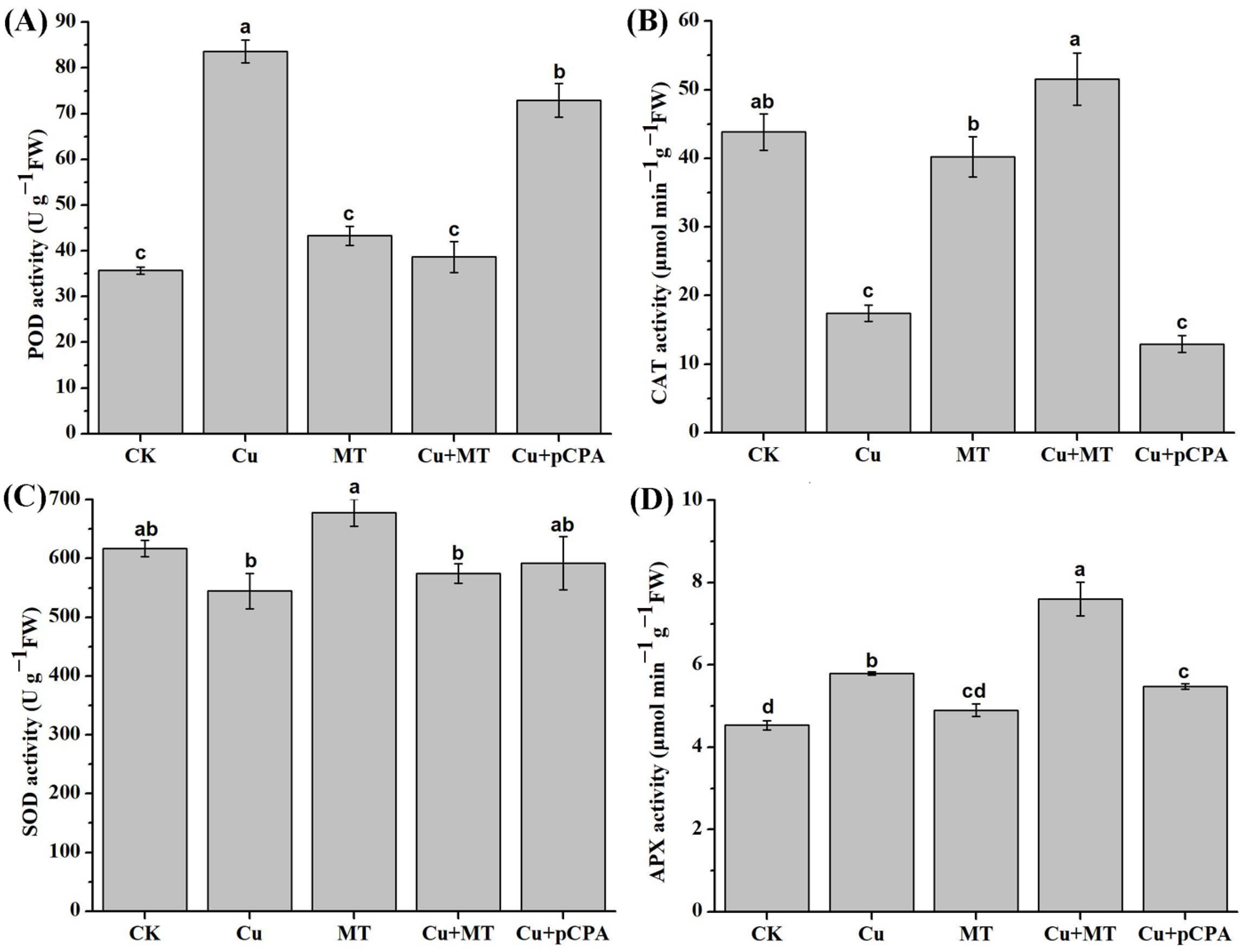 Antioxidants 11 00758 g005
