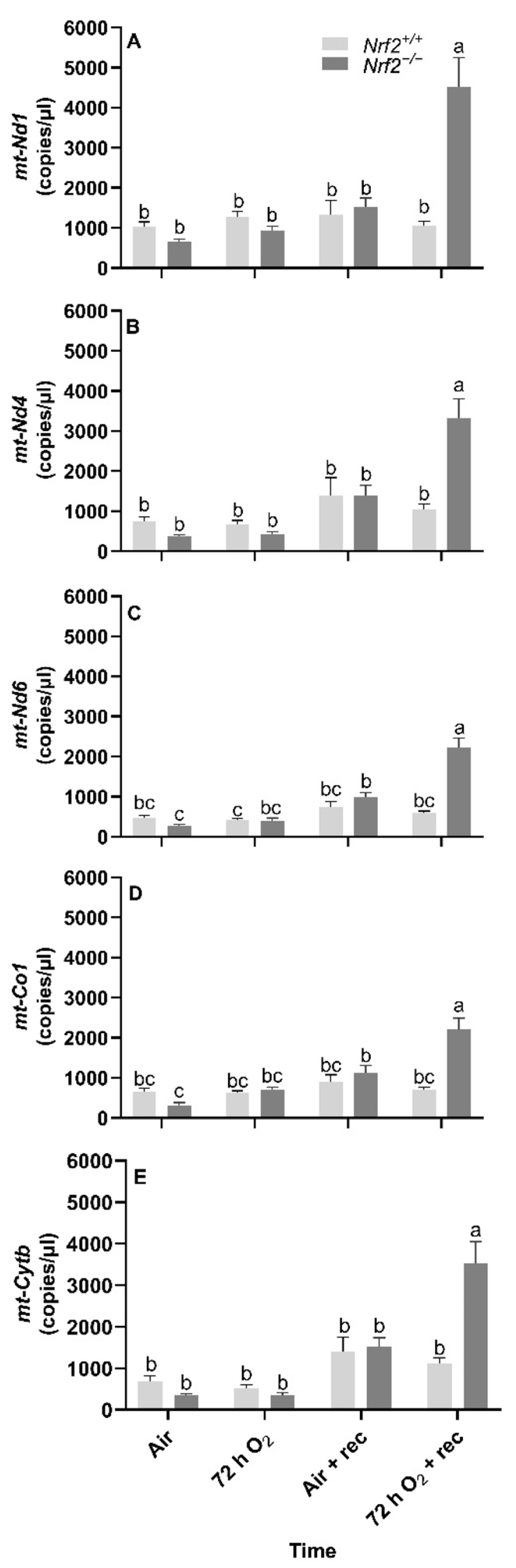 Antioxidants 11 00760 g004