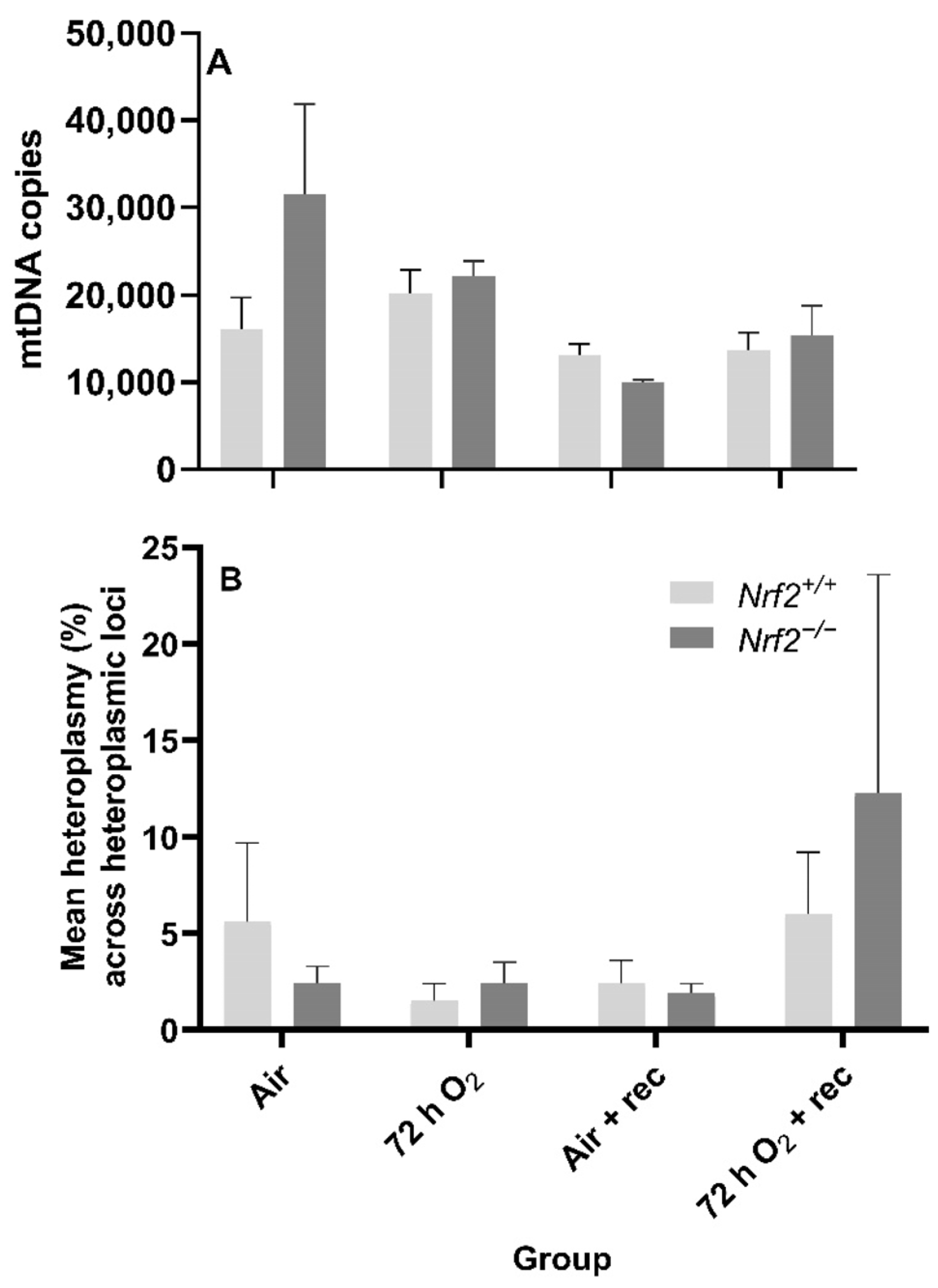 Antioxidants 11 00760 g006