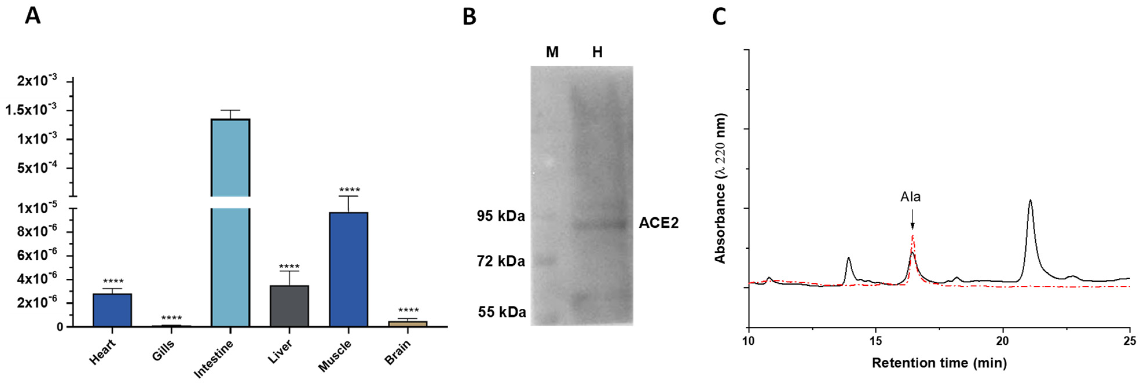 Antioxidants 11 00764 g001 Antioxidants 11 00764 g001