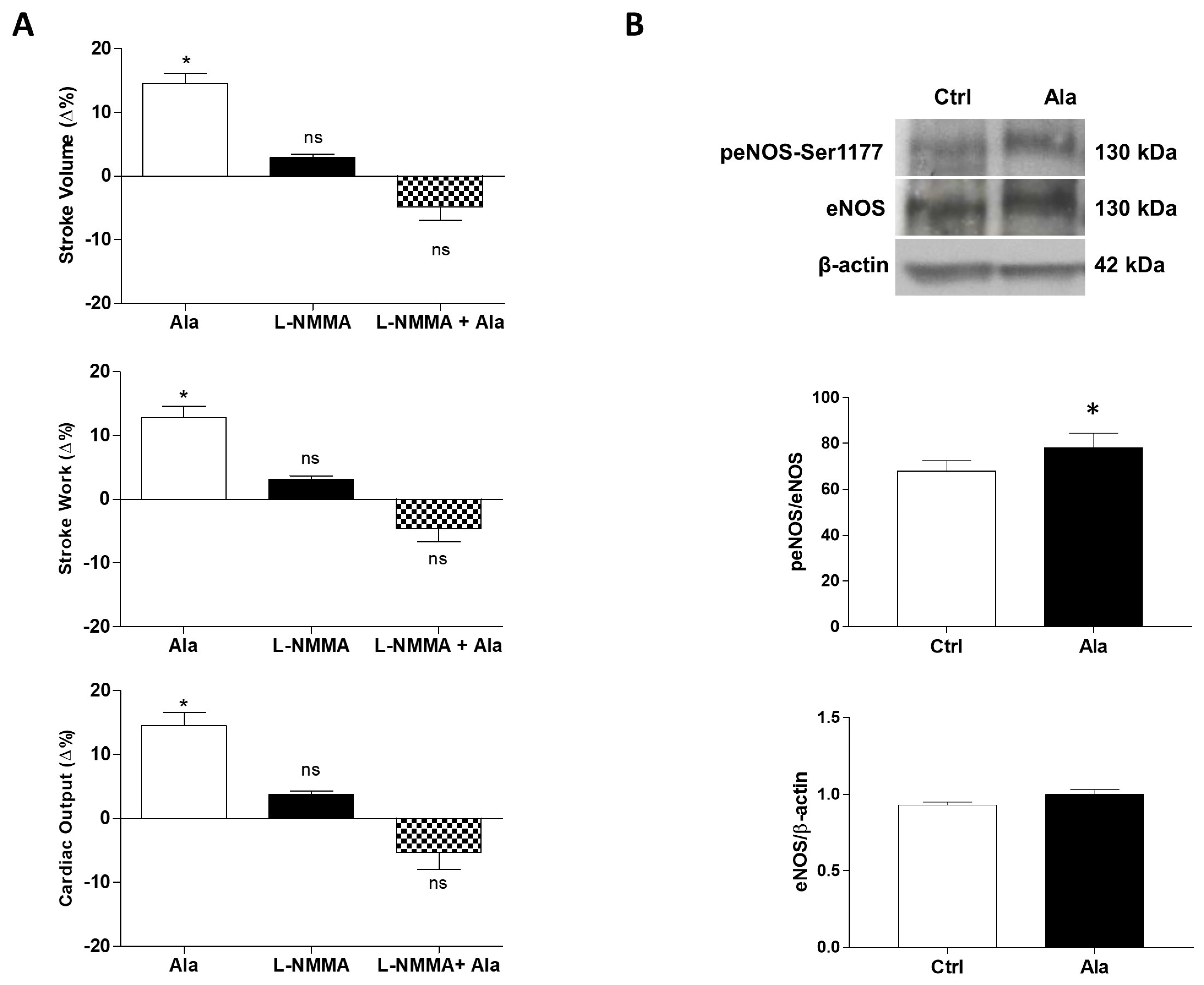 Antioxidants 11 00764 g004 Antioxidants 11 00764 g004