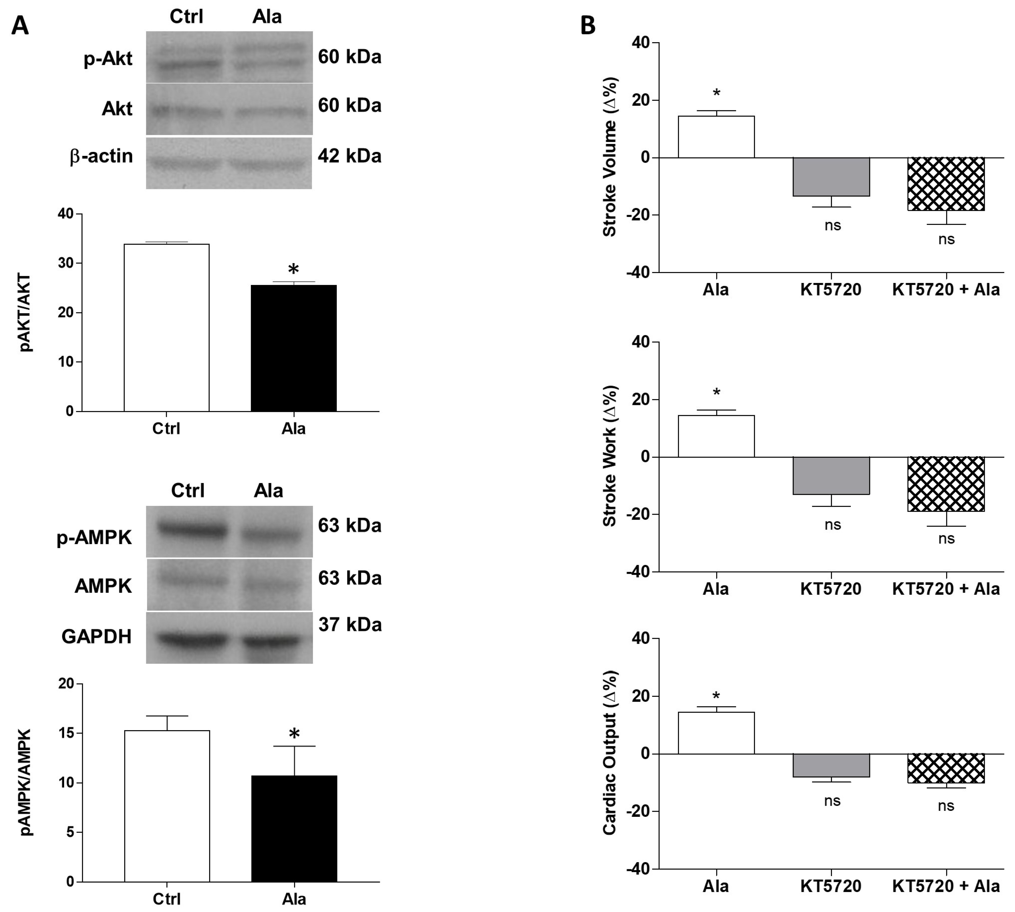 Antioxidants 11 00764 g005 Antioxidants 11 00764 g005