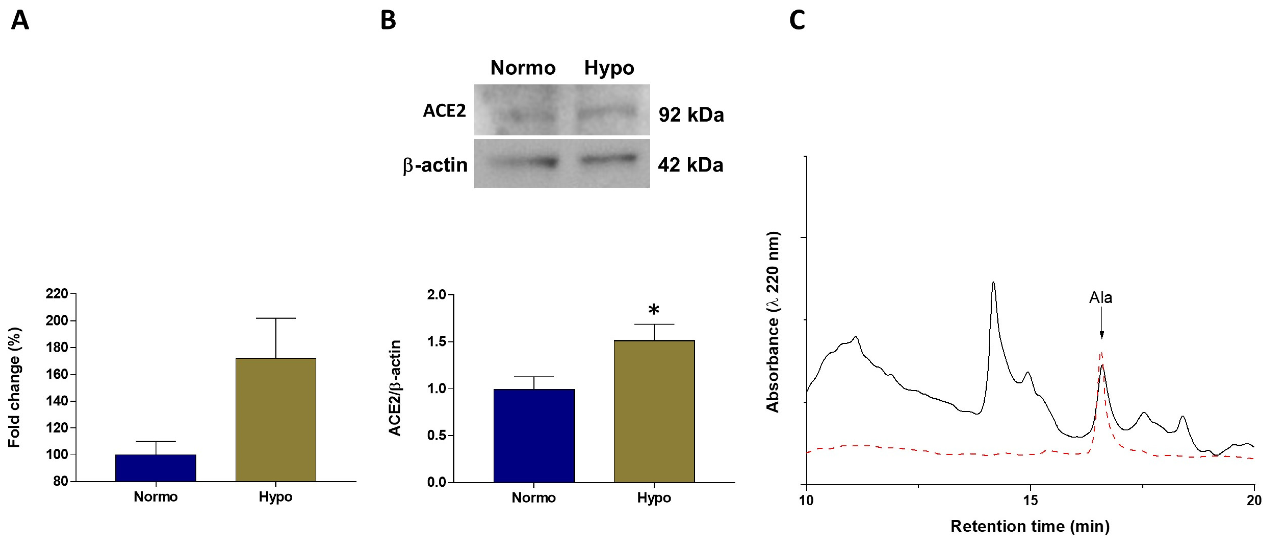 Antioxidants 11 00764 g006 Antioxidants 11 00764 g006